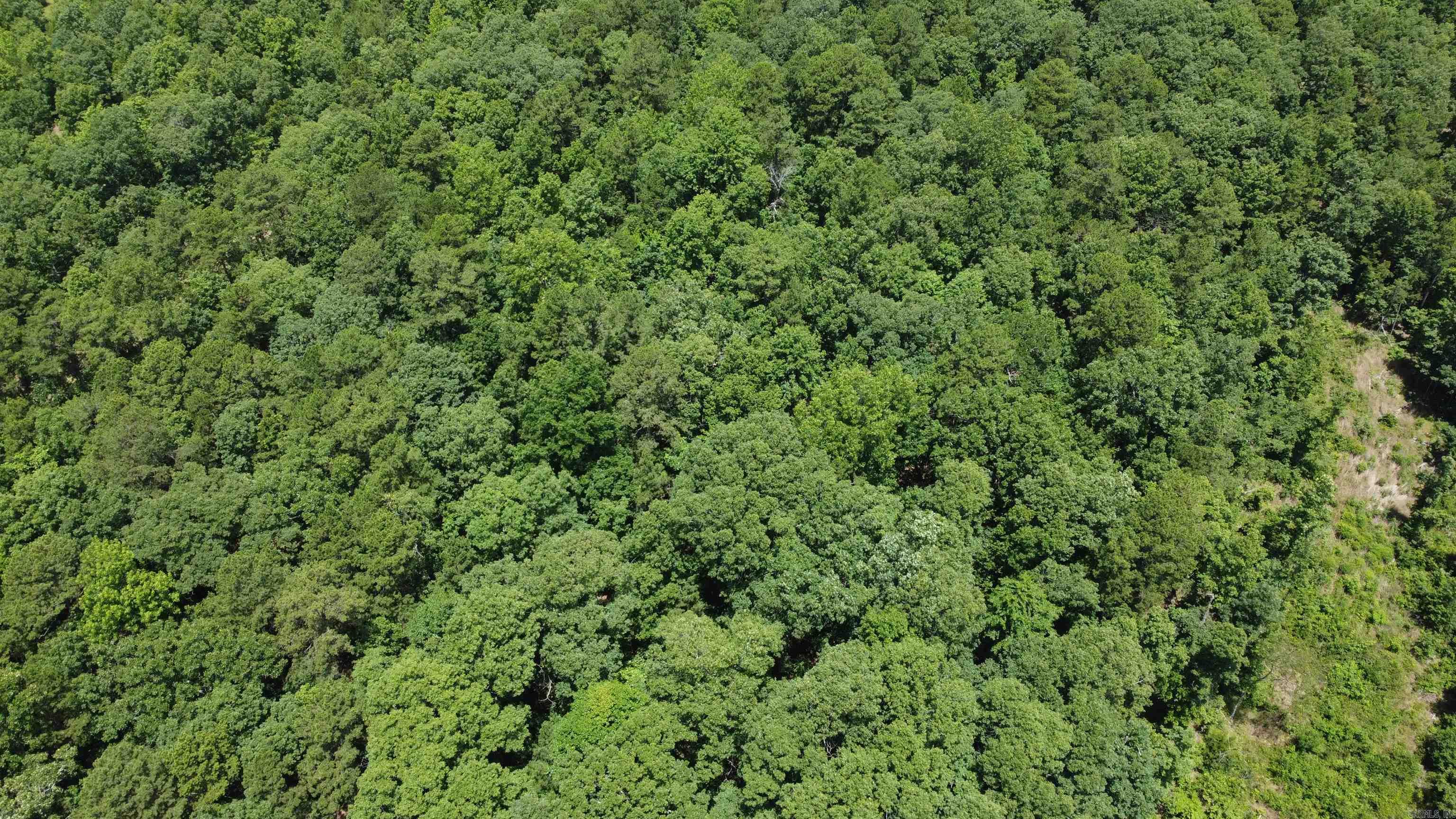 0 Harry Brown Rd.  Leslie, AR