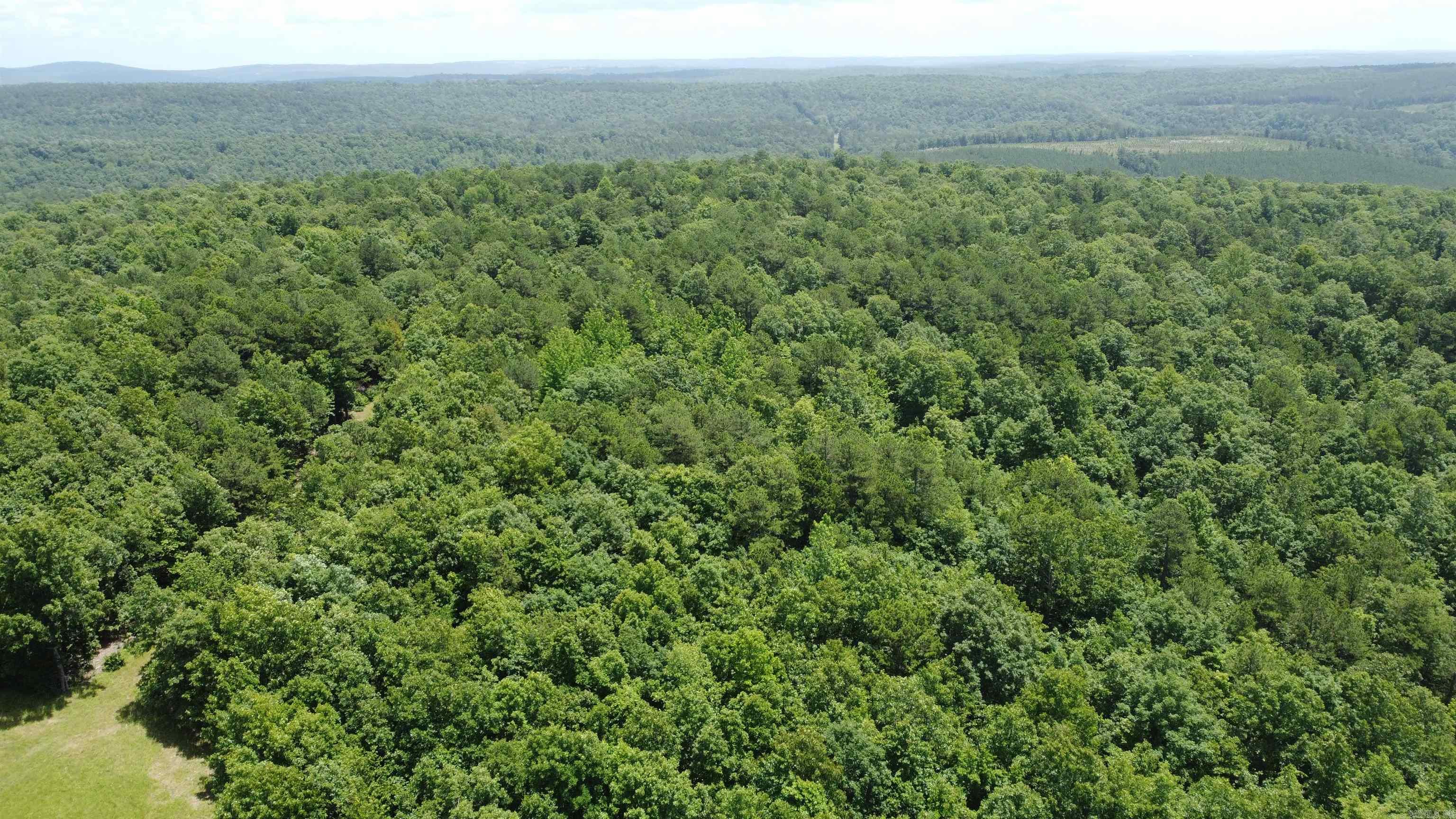 0 Harry Brown Rd.  Leslie, AR