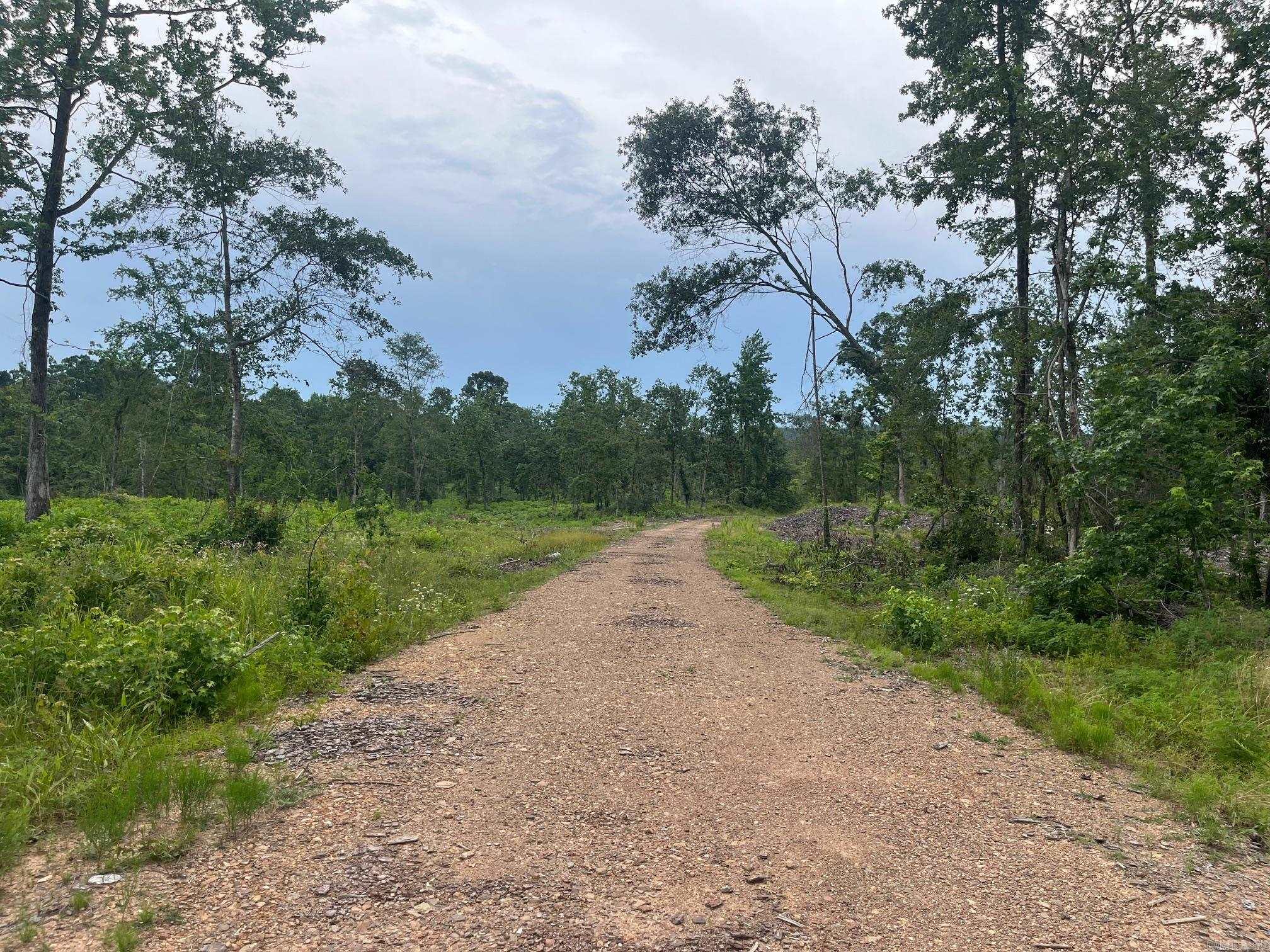 TBD Hwy 84  Amity, AR