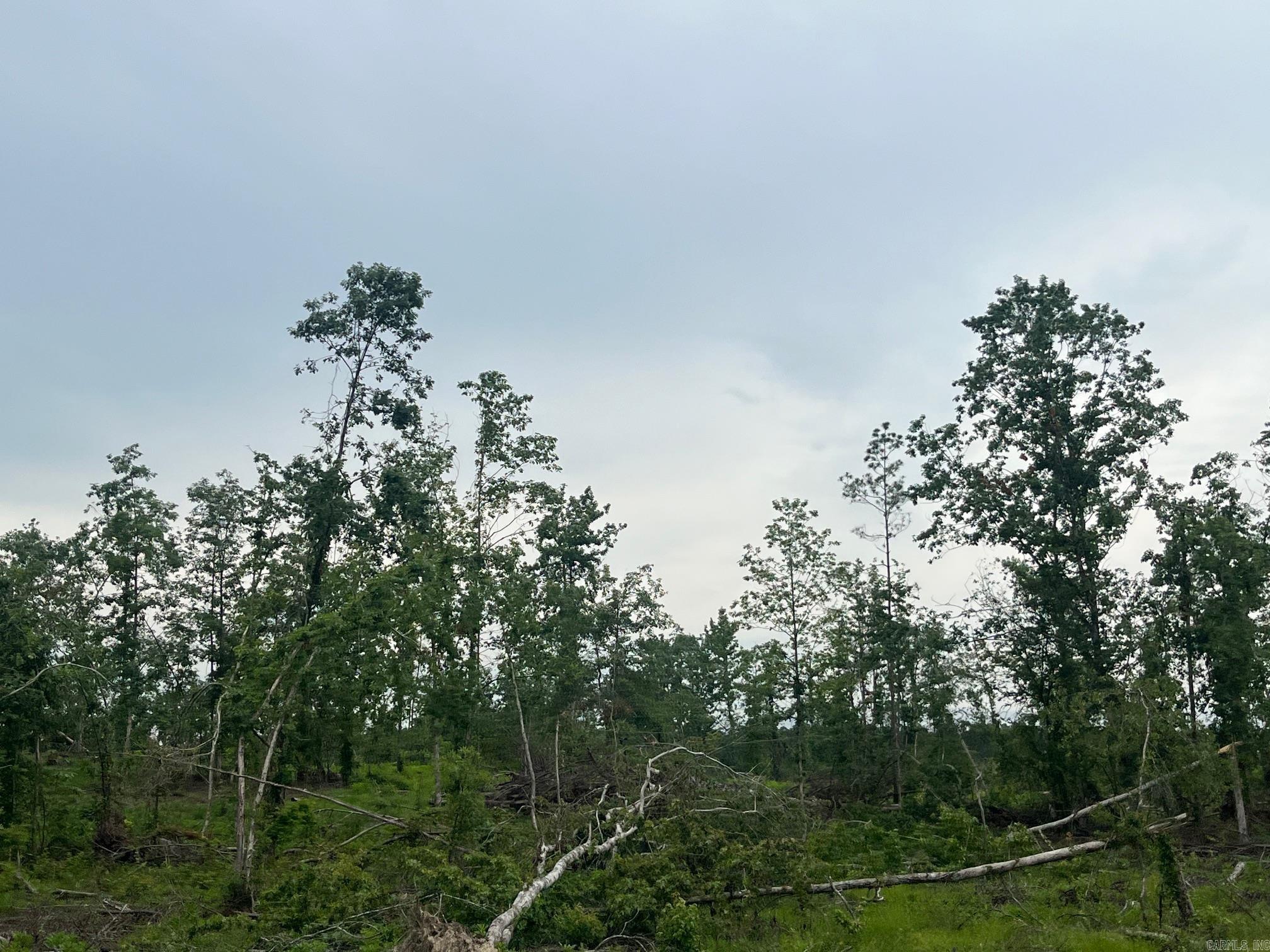 TBD Hwy 84  Amity, AR