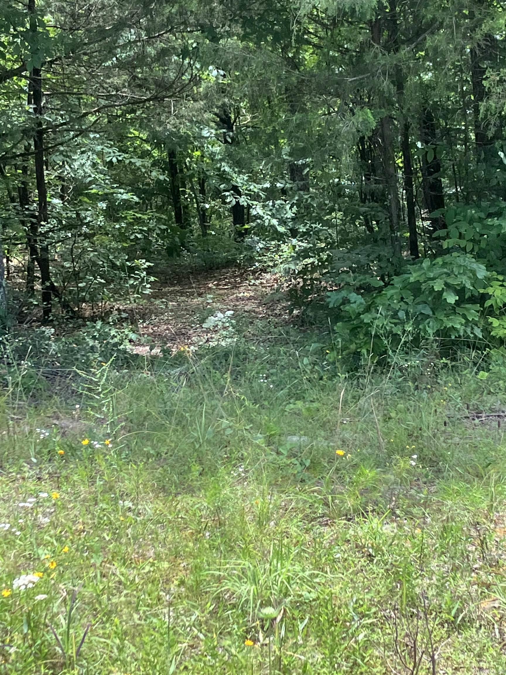Lot 135 JCT MISSION & BRIMMER  Greers Ferry, AR