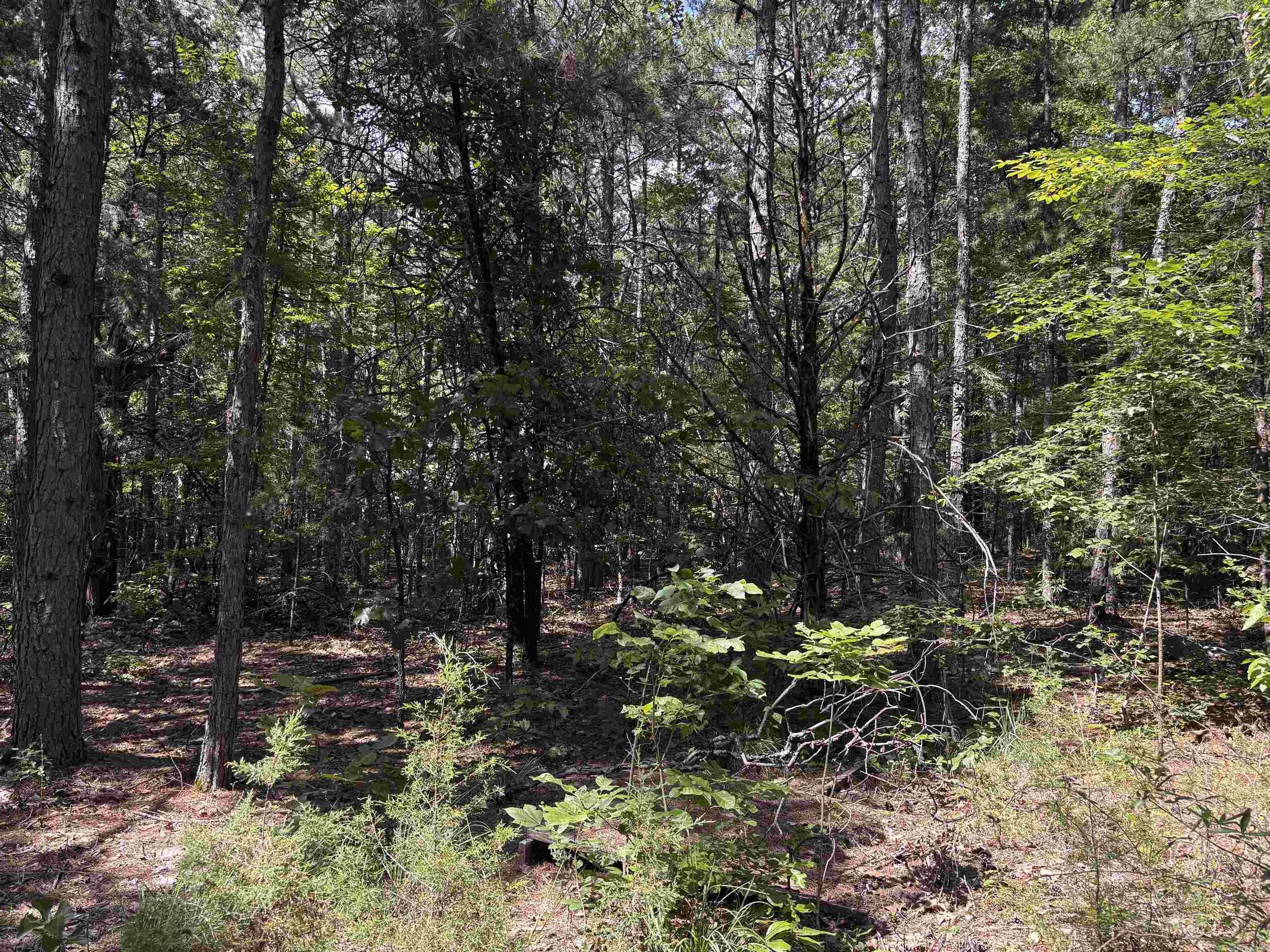 41 Arapaho  Solgohachia, AR