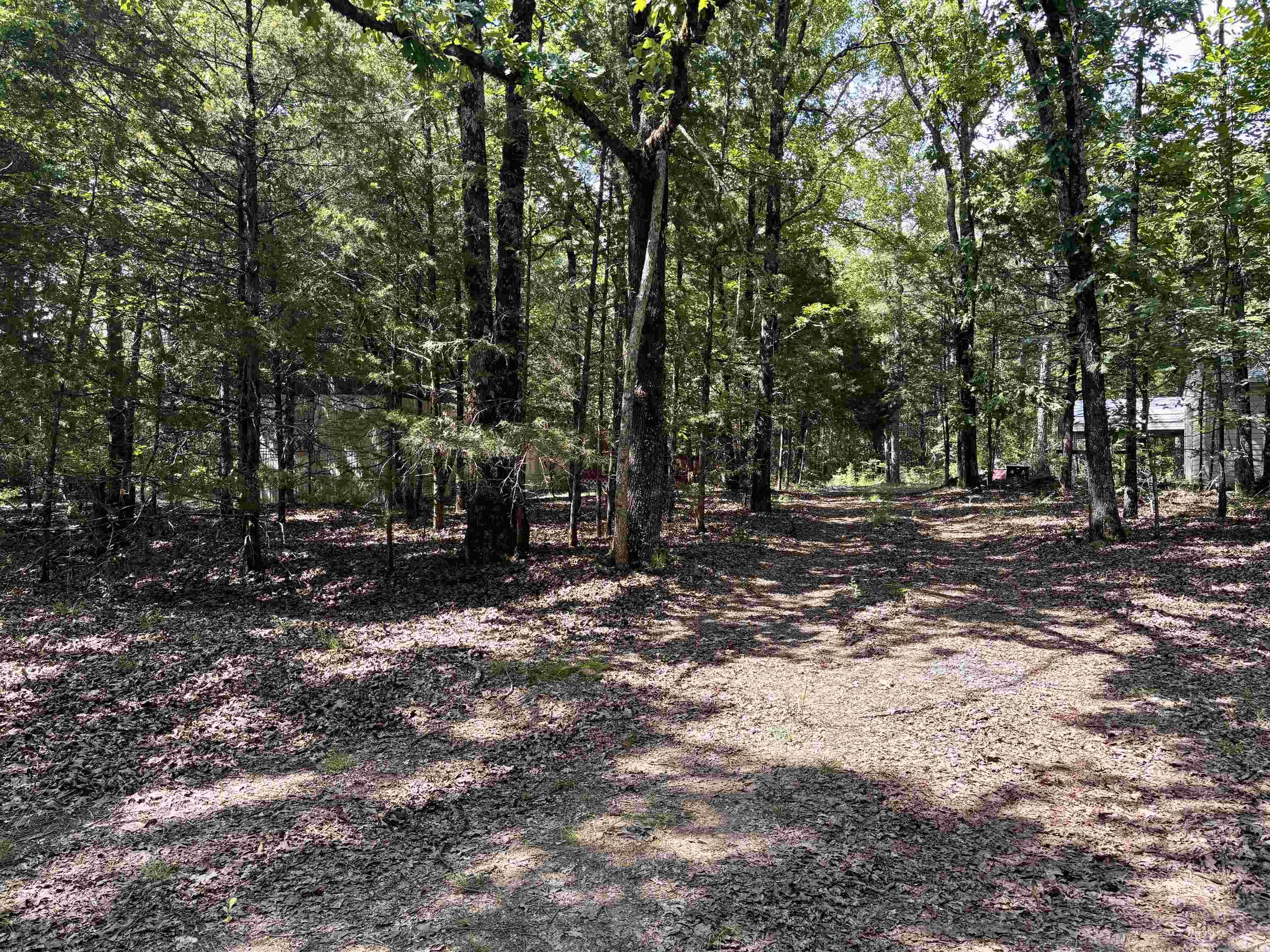 41 Arapaho  Solgohachia, AR