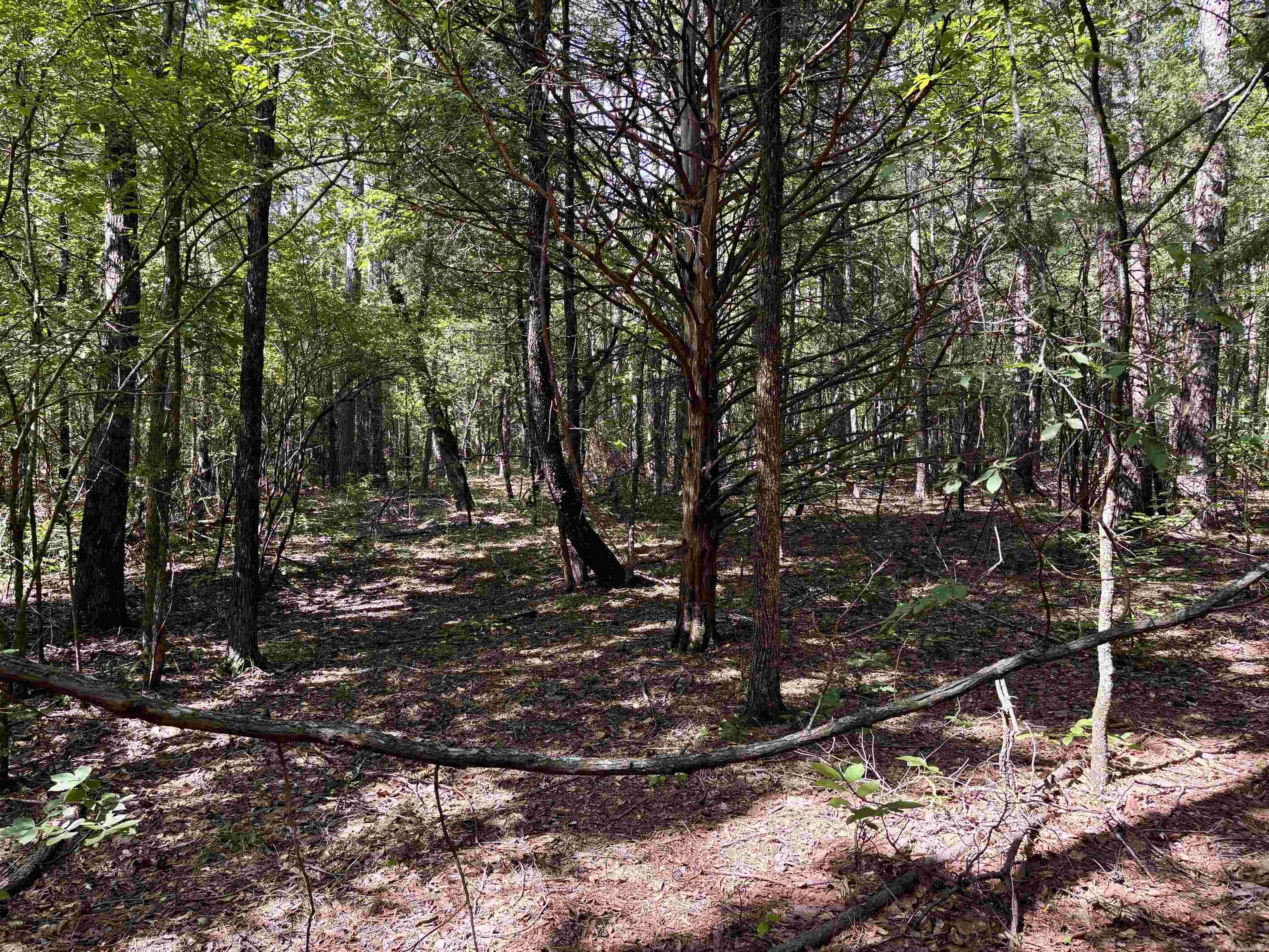 41 Arapaho  Solgohachia, AR