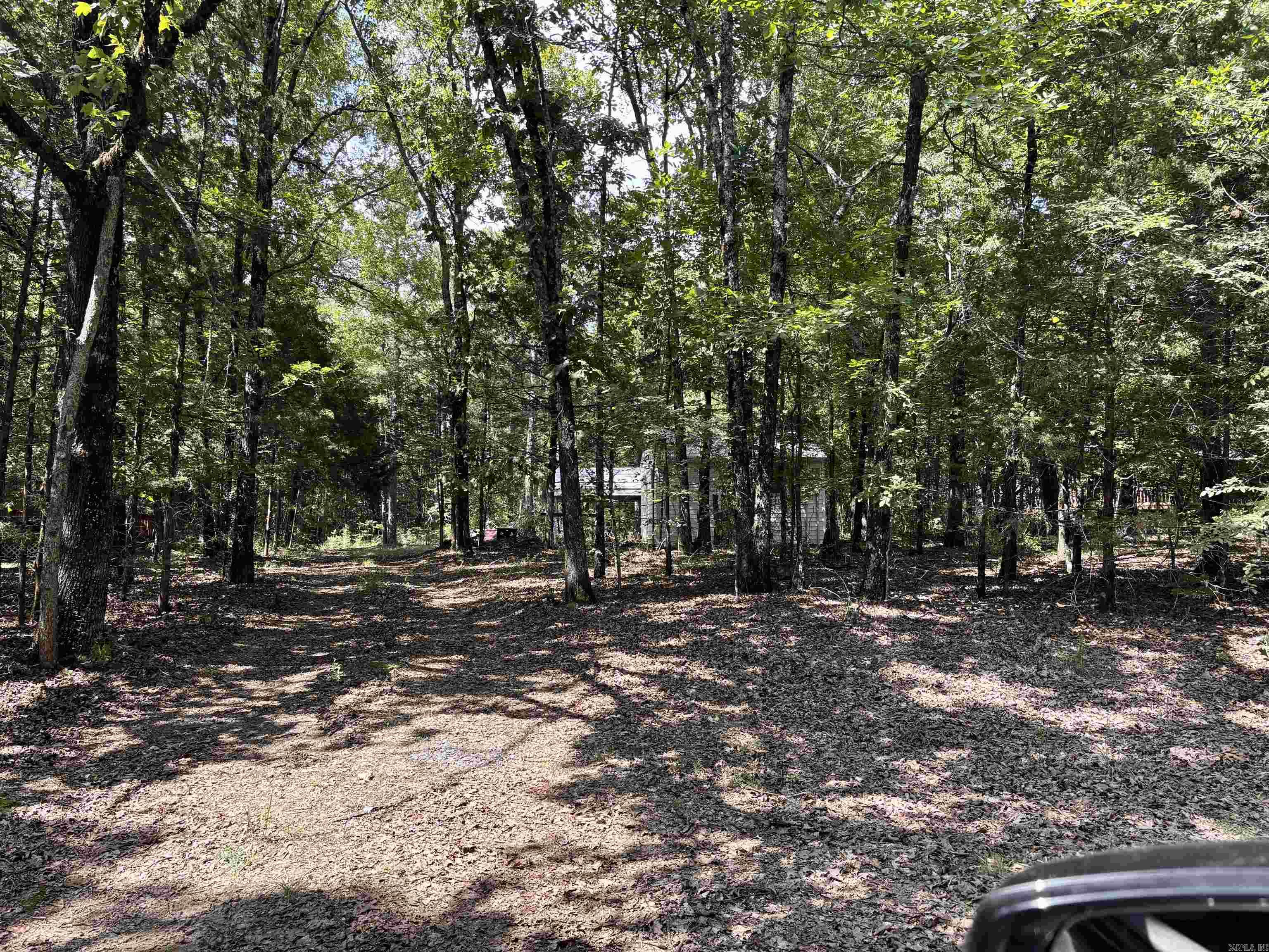 41 Arapaho  Solgohachia, AR