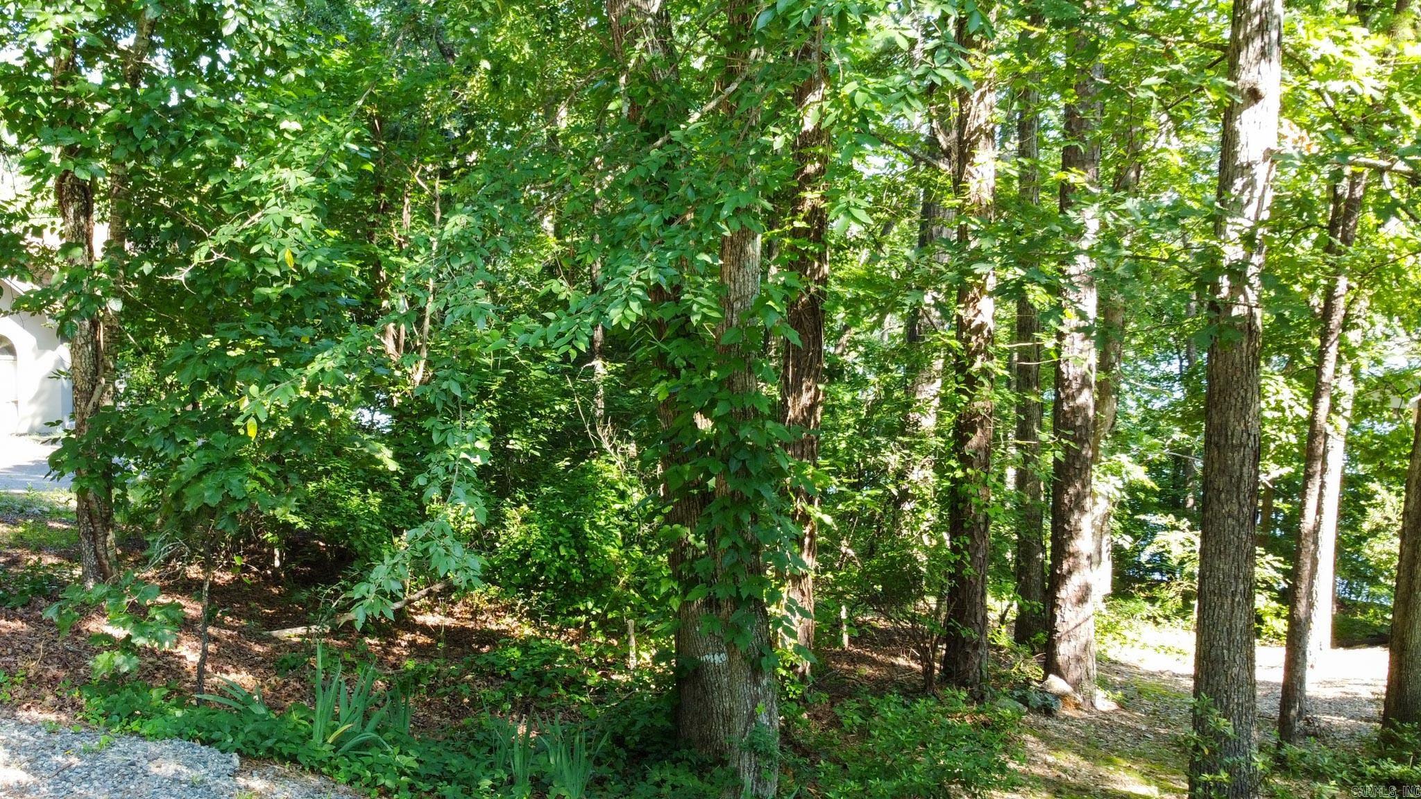 6 Albala  Hot Springs Village, AR