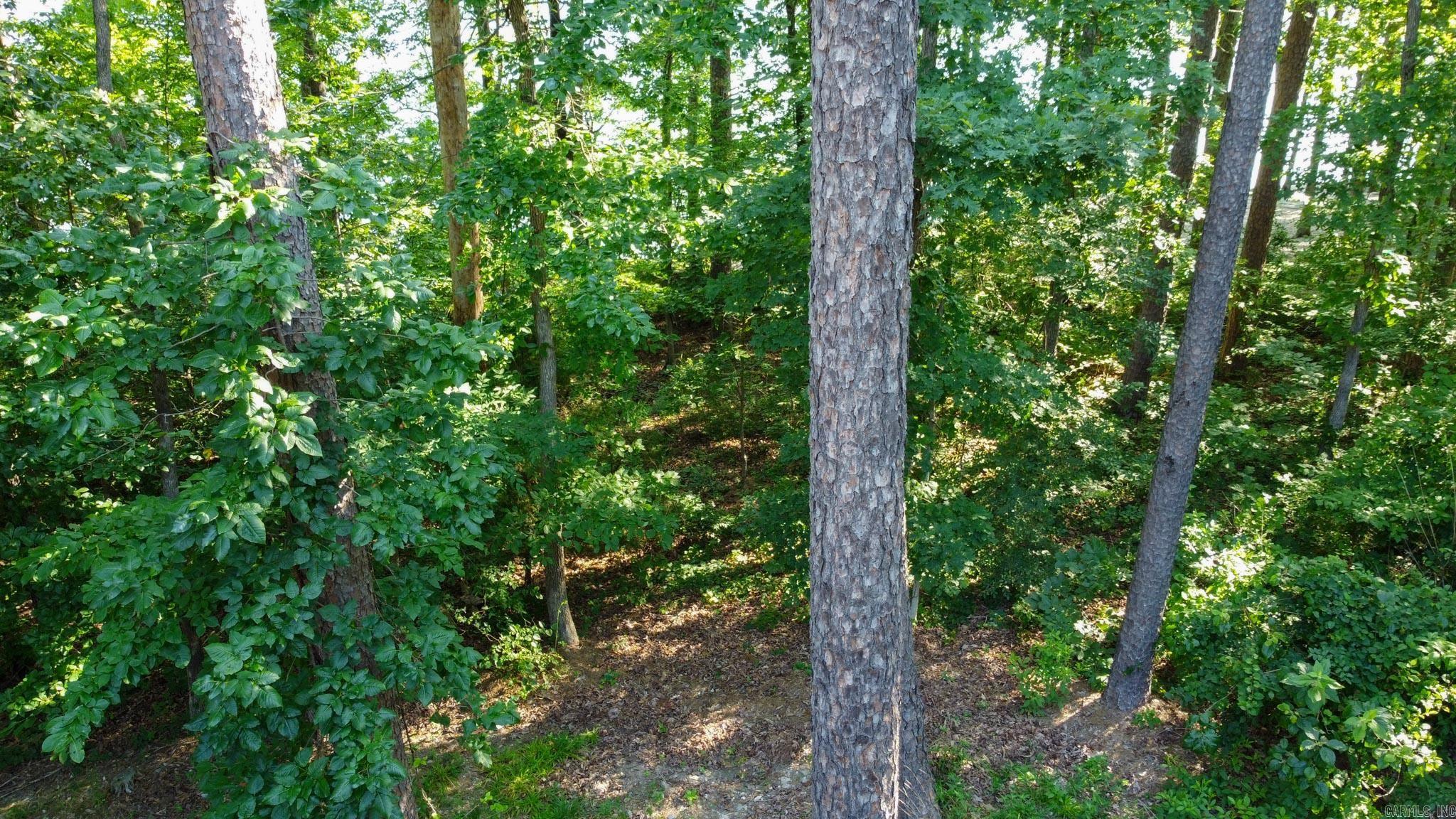 6 Albala  Hot Springs Village, AR