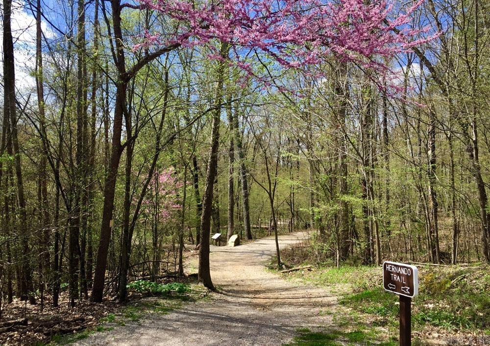 6 Albala  Hot Springs Village, AR