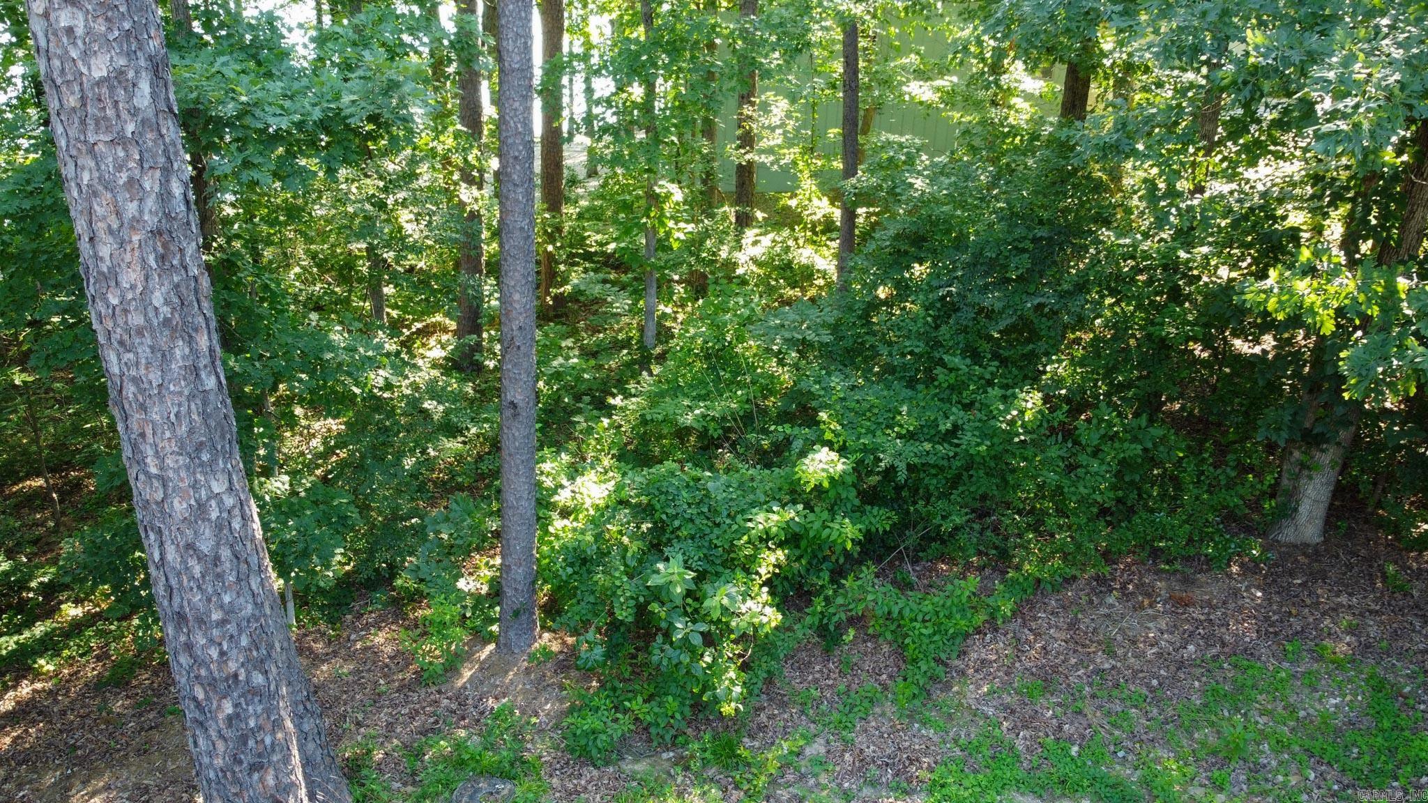 6 Albala  Hot Springs Village, AR