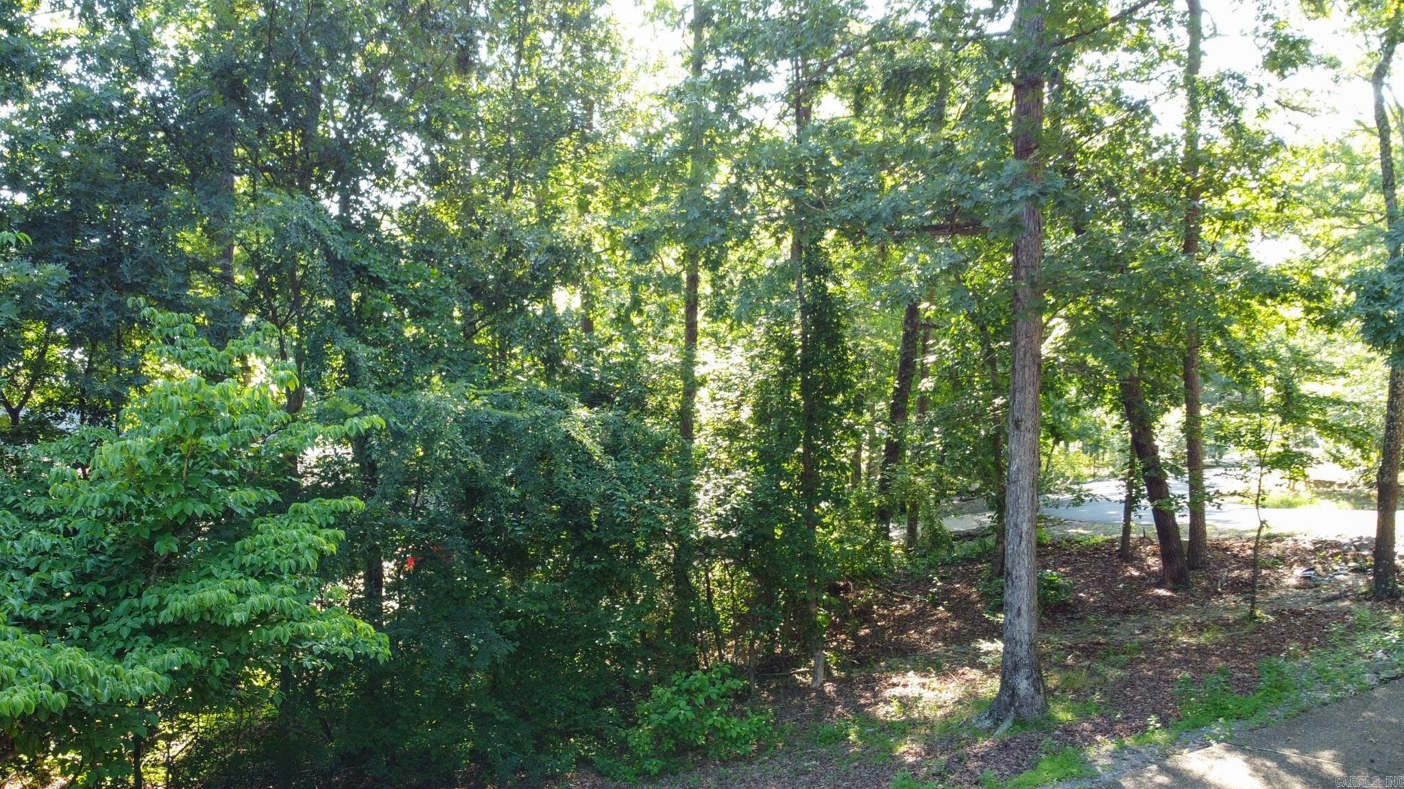 6 Albala  Hot Springs Village, AR