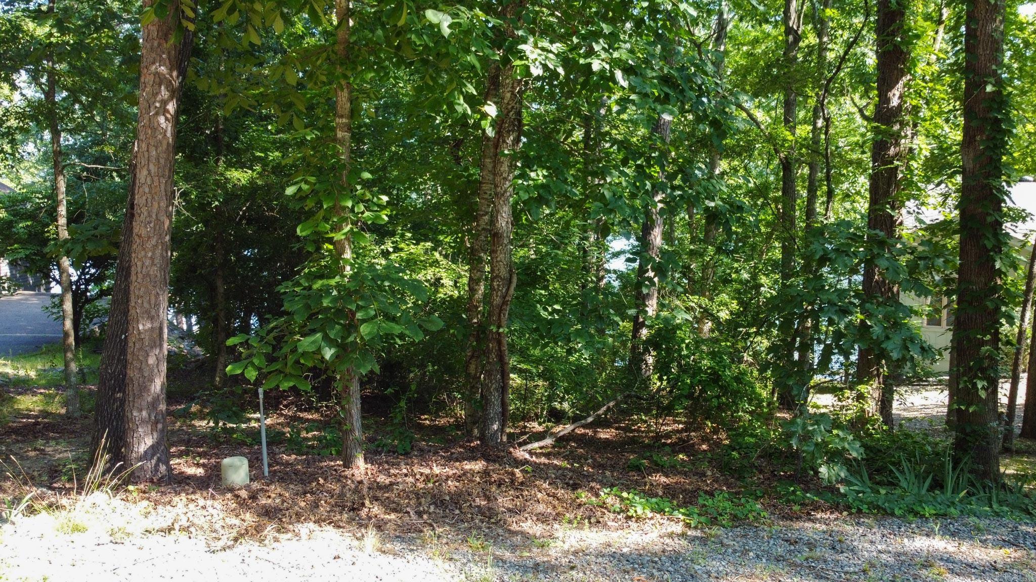 6 Albala  Hot Springs Village, AR