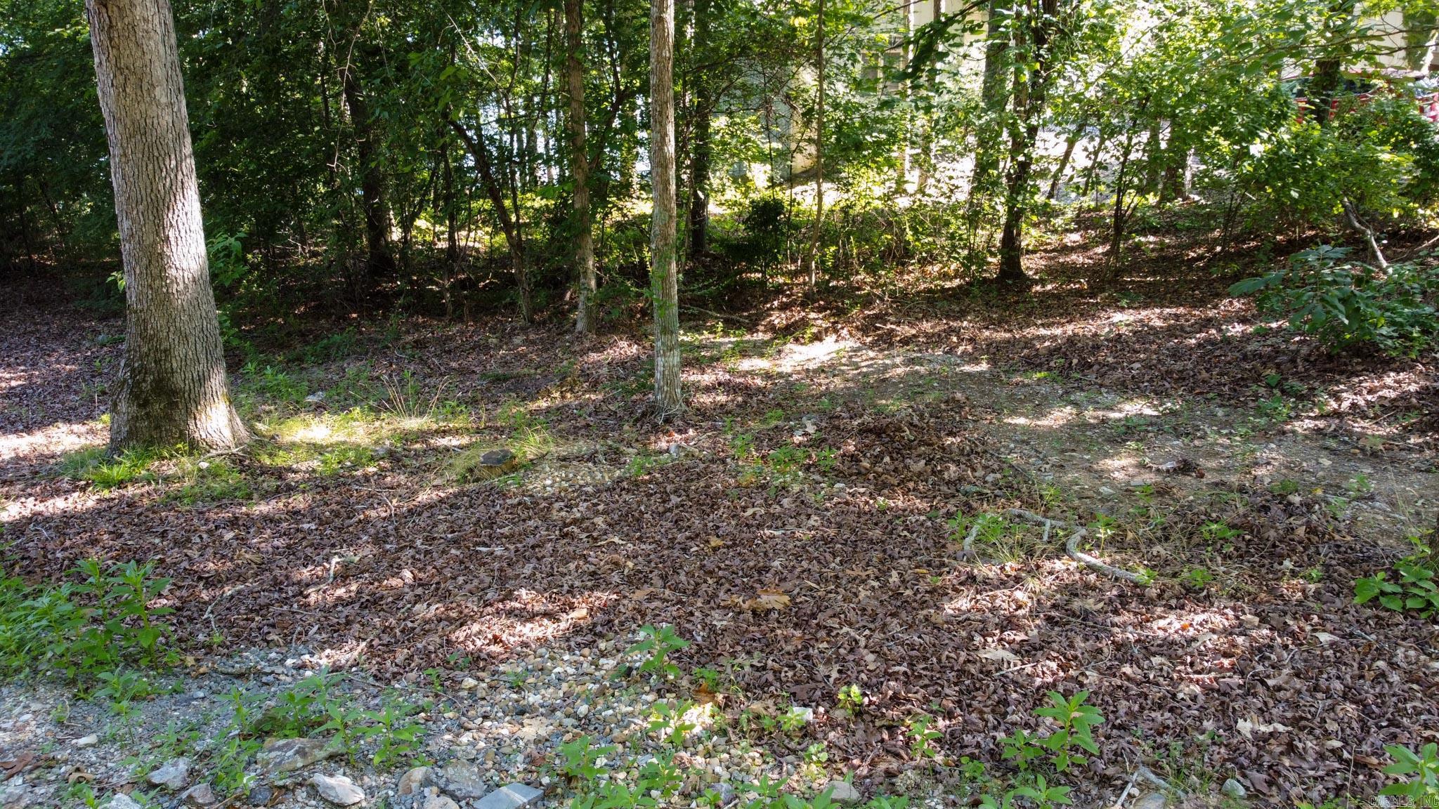 6 Albala  Hot Springs Village, AR