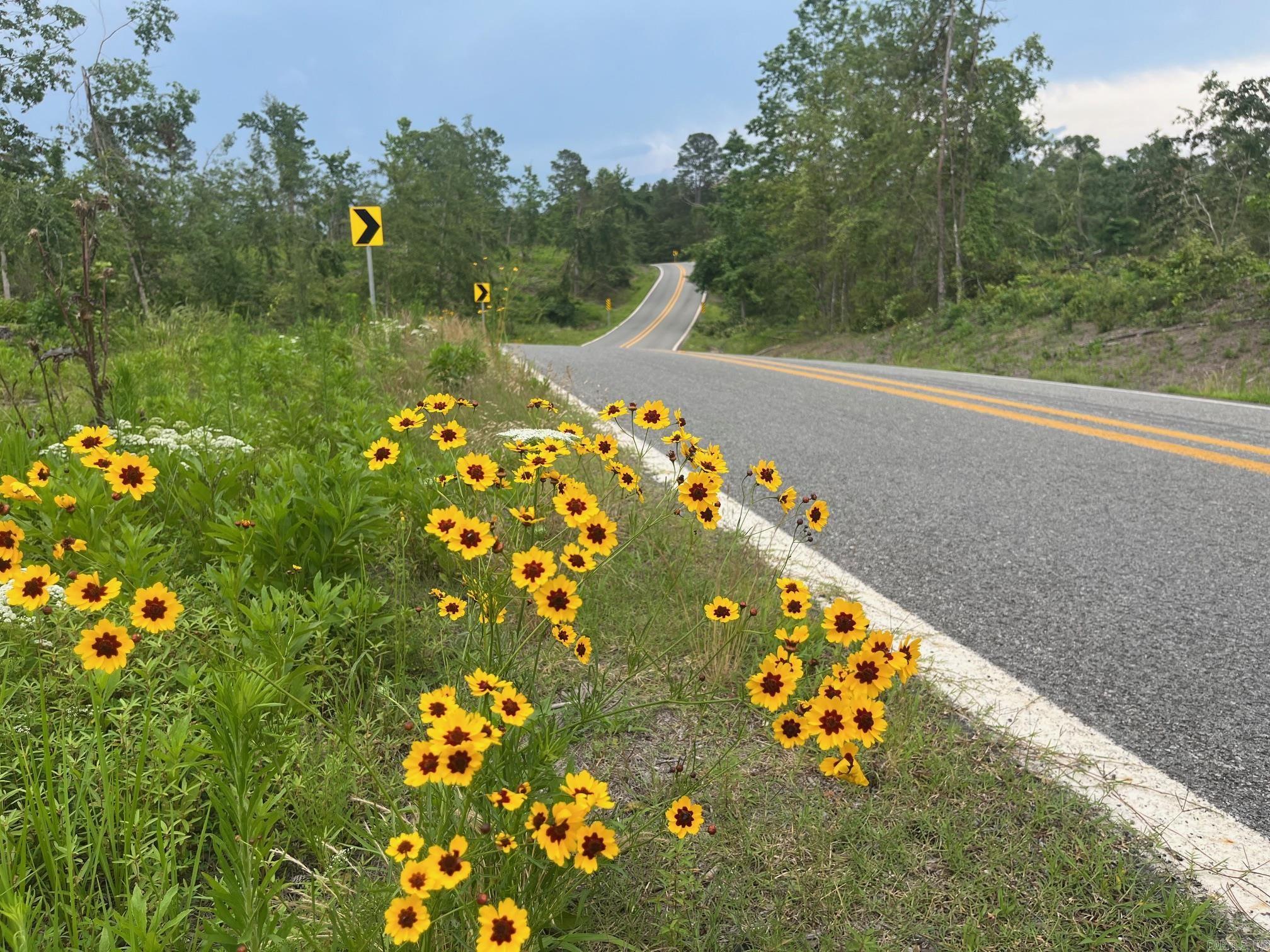TBD Hwy 84  Amity, AR