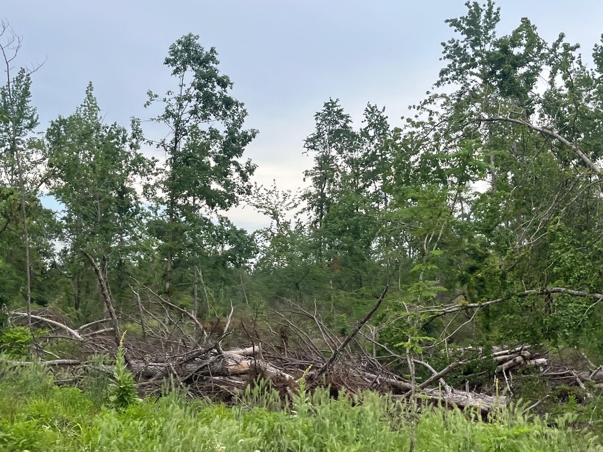 TBD Hwy 84  Amity, AR