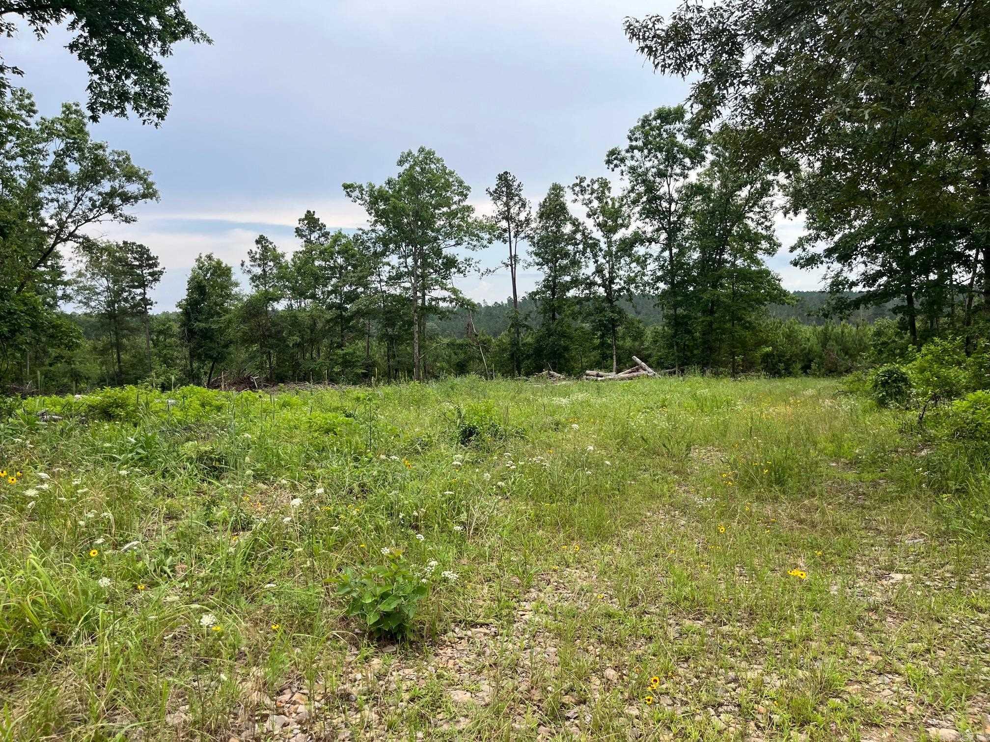 TBD Hwy 84  Amity, AR