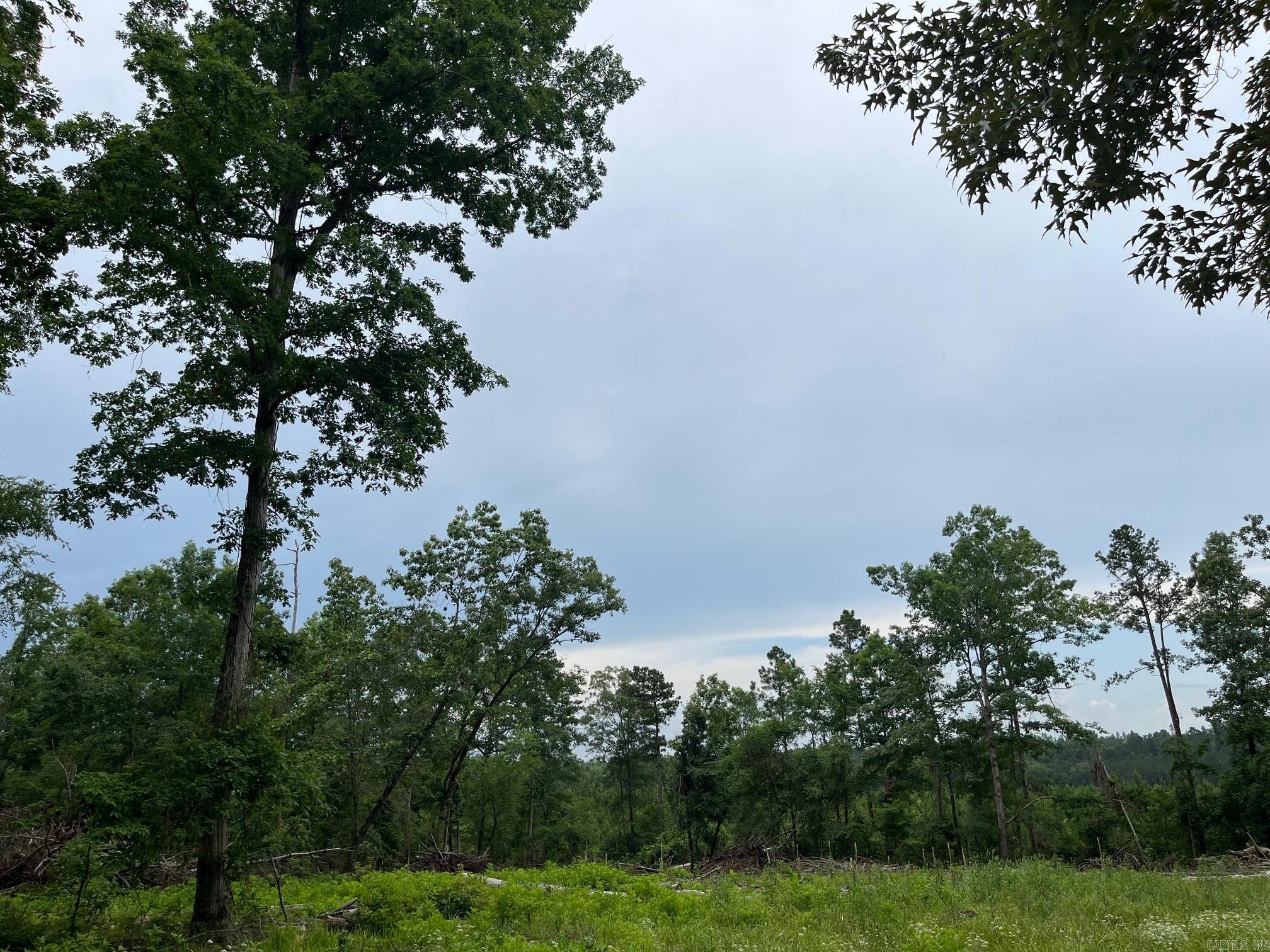 TBD Hwy 84  Amity, AR