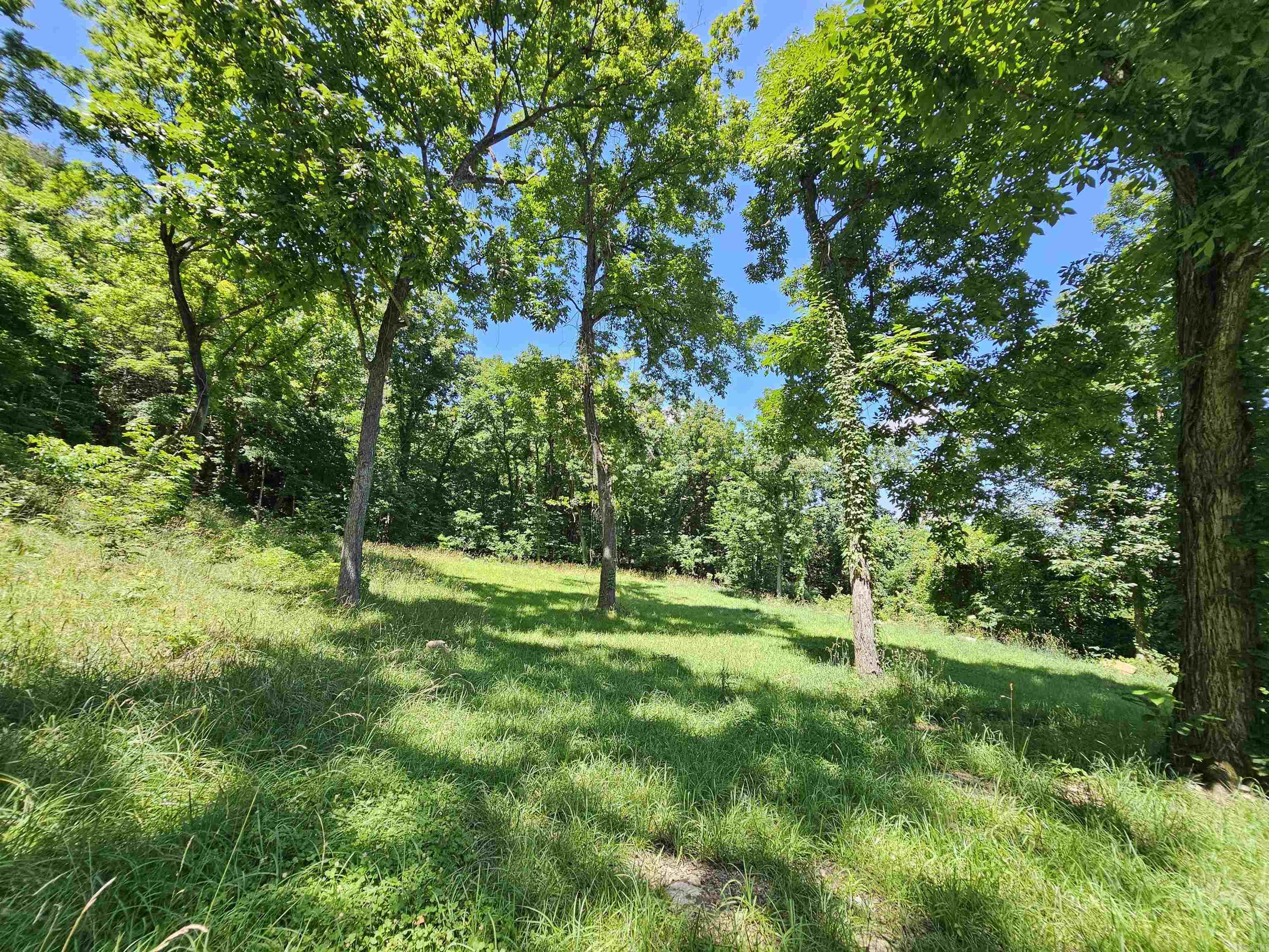 493 Crow  Marshall, AR