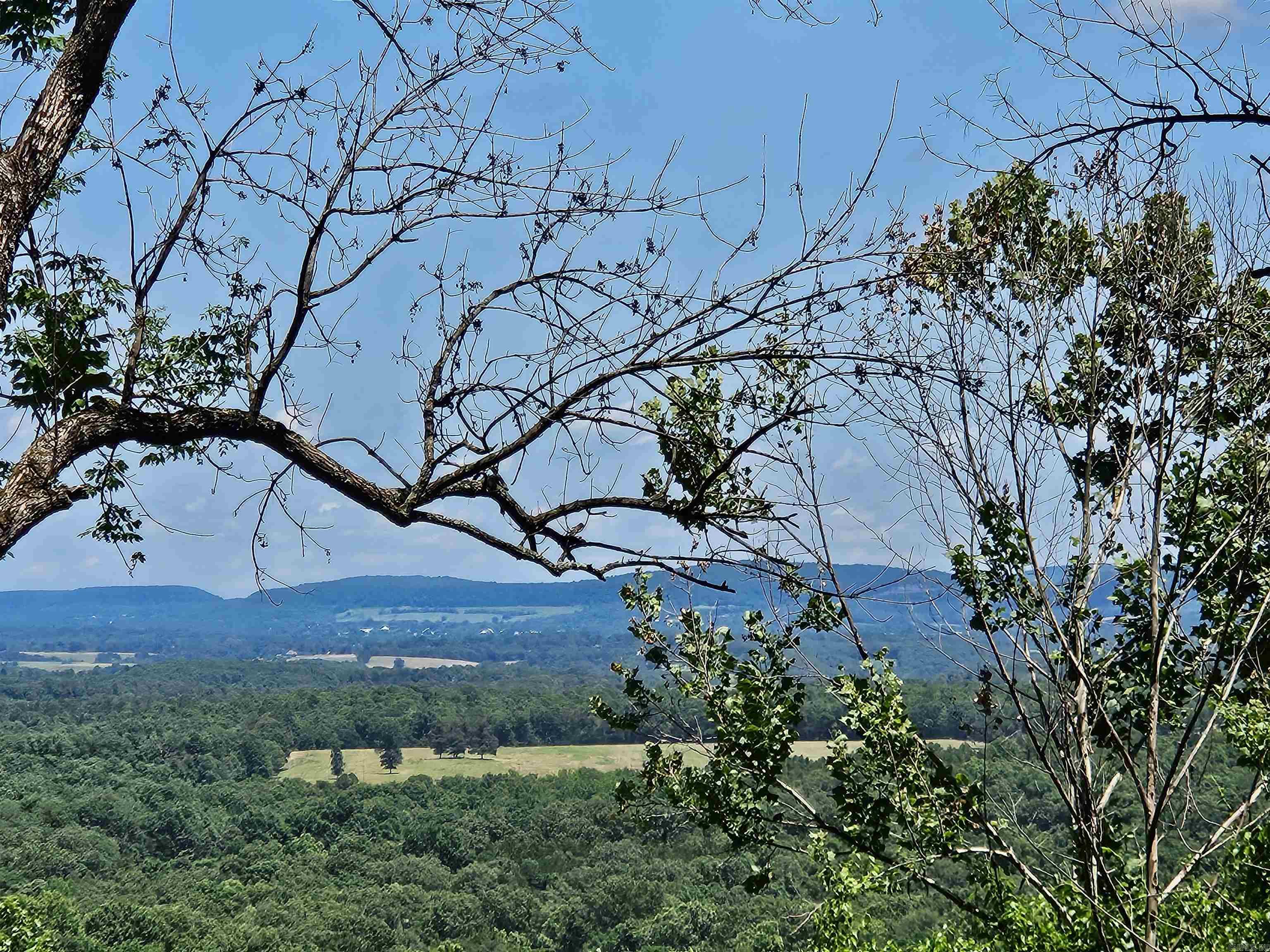 493 Crow  Marshall, AR