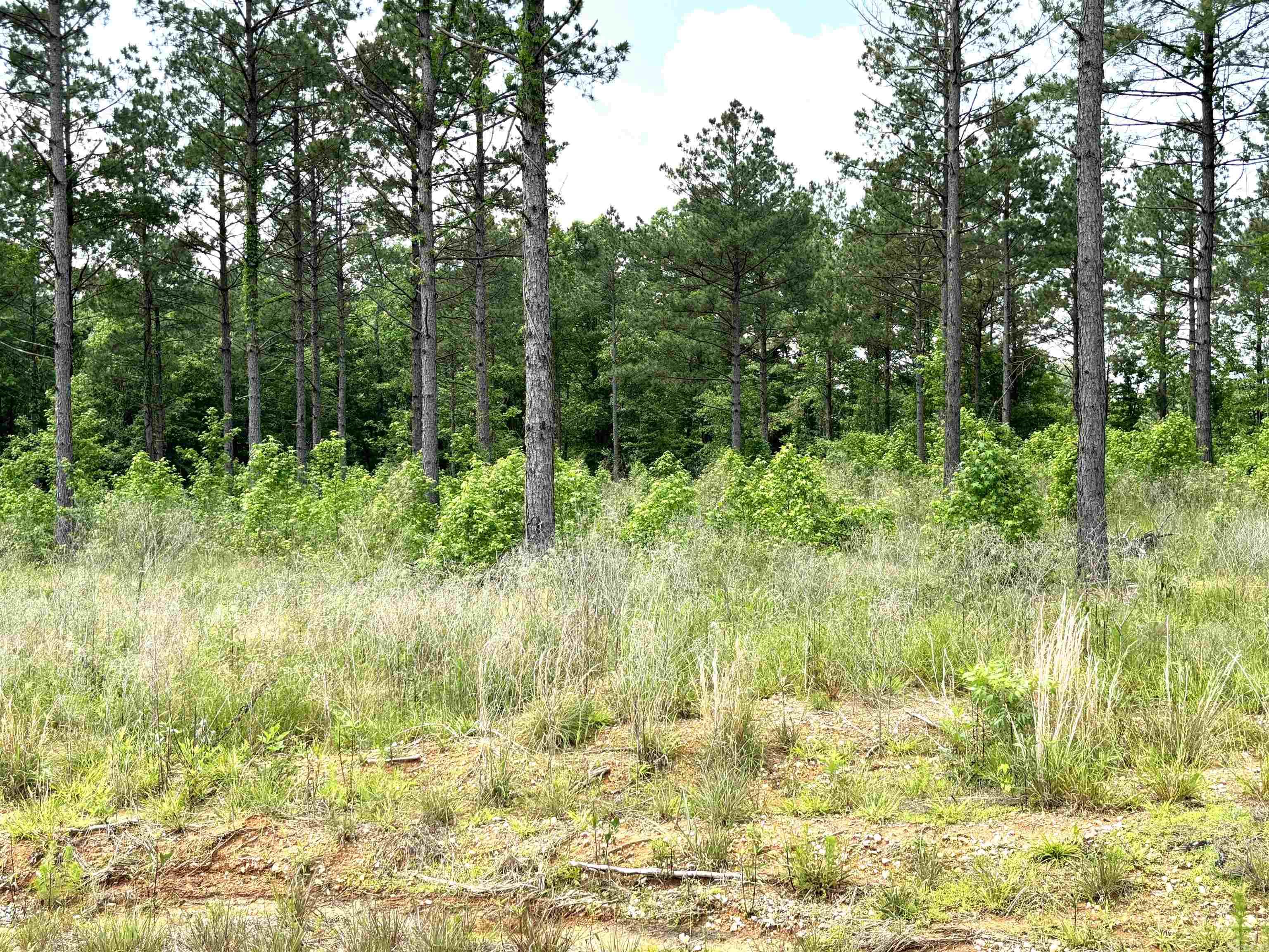 lot 16 Grant County Road 761  Sheridan, AR