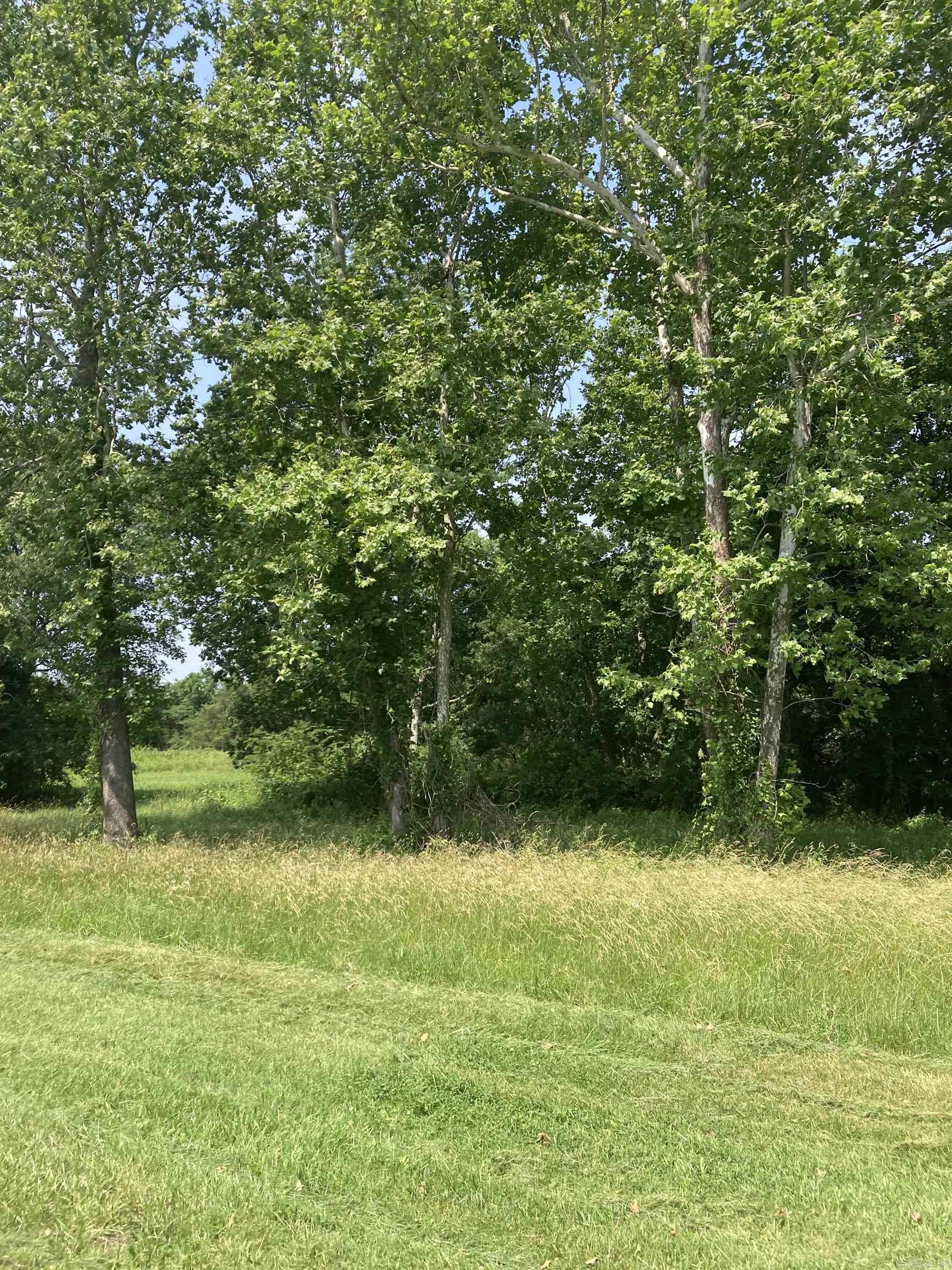 648 Vista Oak Trail  Ash Flat, AR