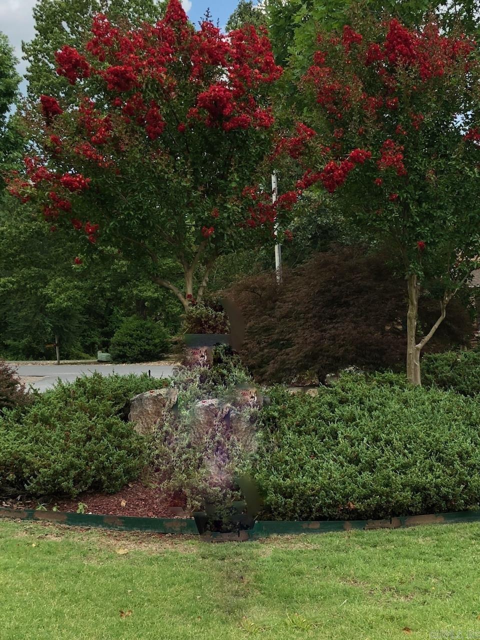 34 Sanchez  Hot Springs Village, AR