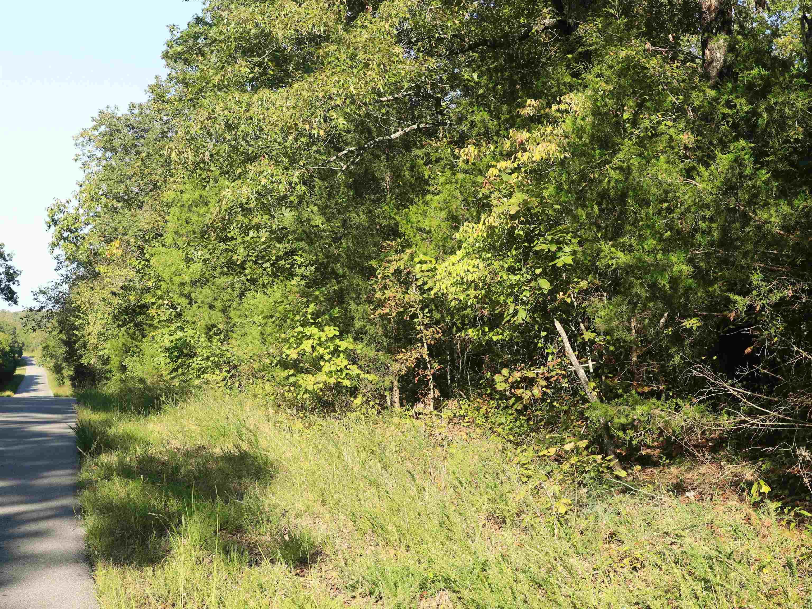 208 N Little Rock  Horseshoe Bend, AR