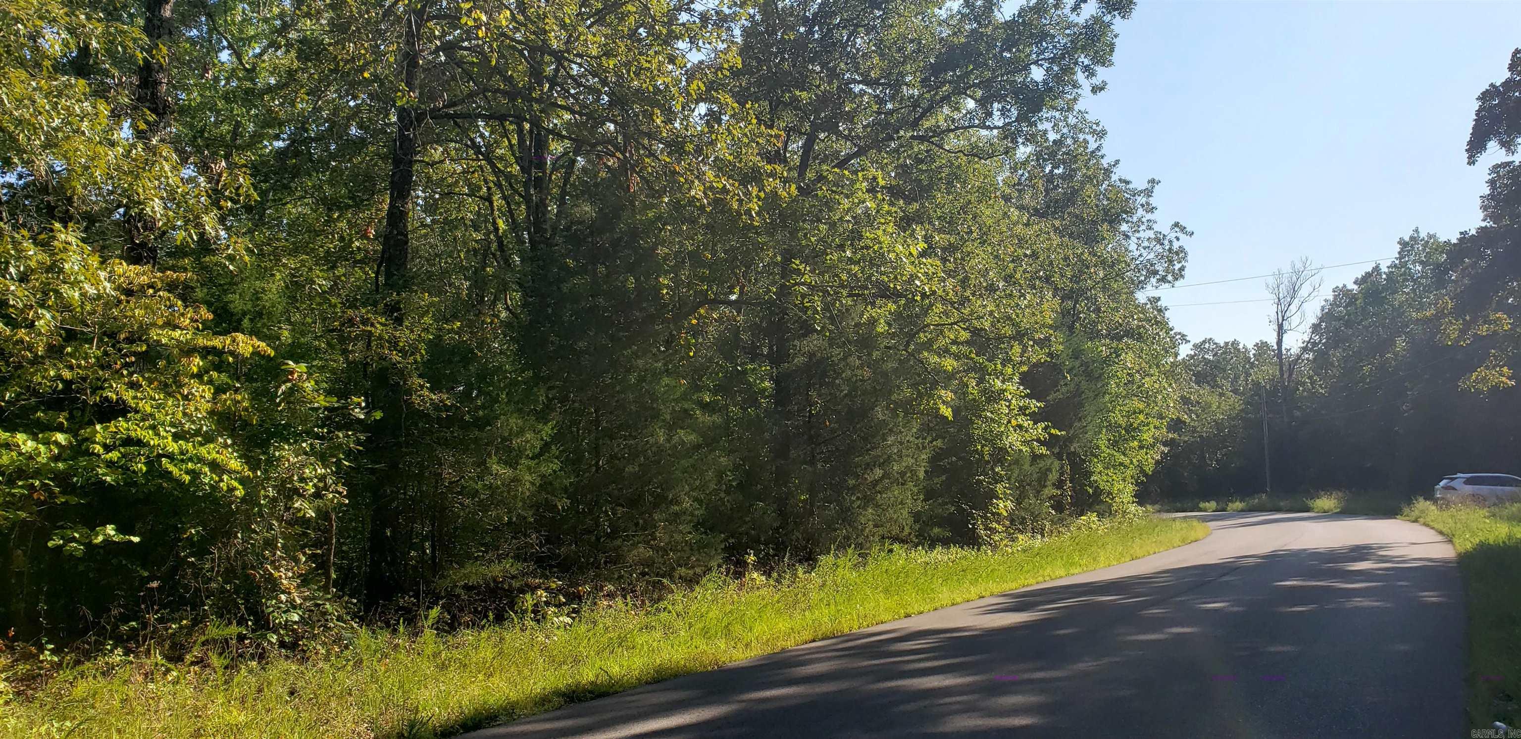 208 N Little Rock  Horseshoe Bend, AR