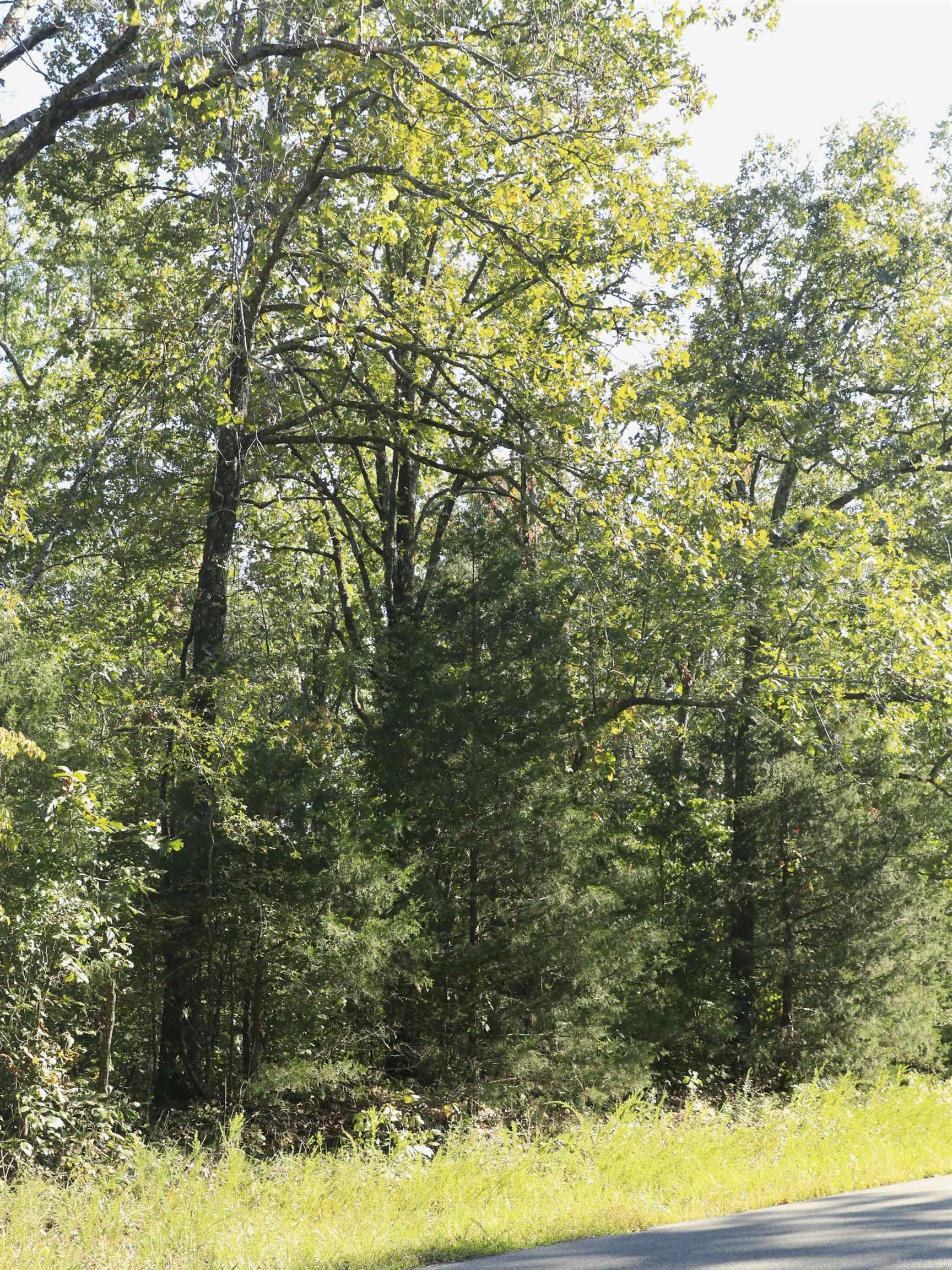 208 N Little Rock  Horseshoe Bend, AR