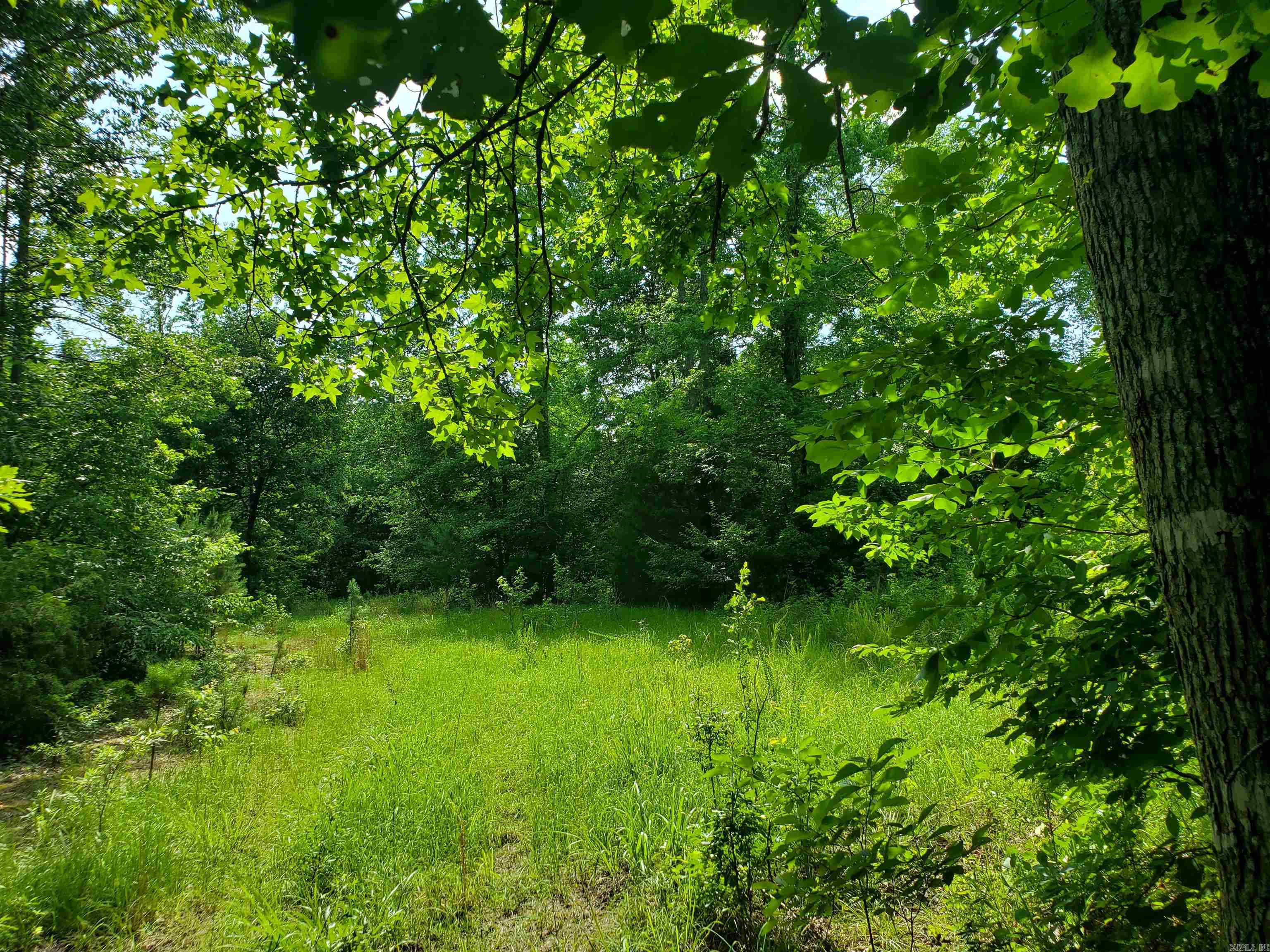 TBD Polk 69  Mena, AR
