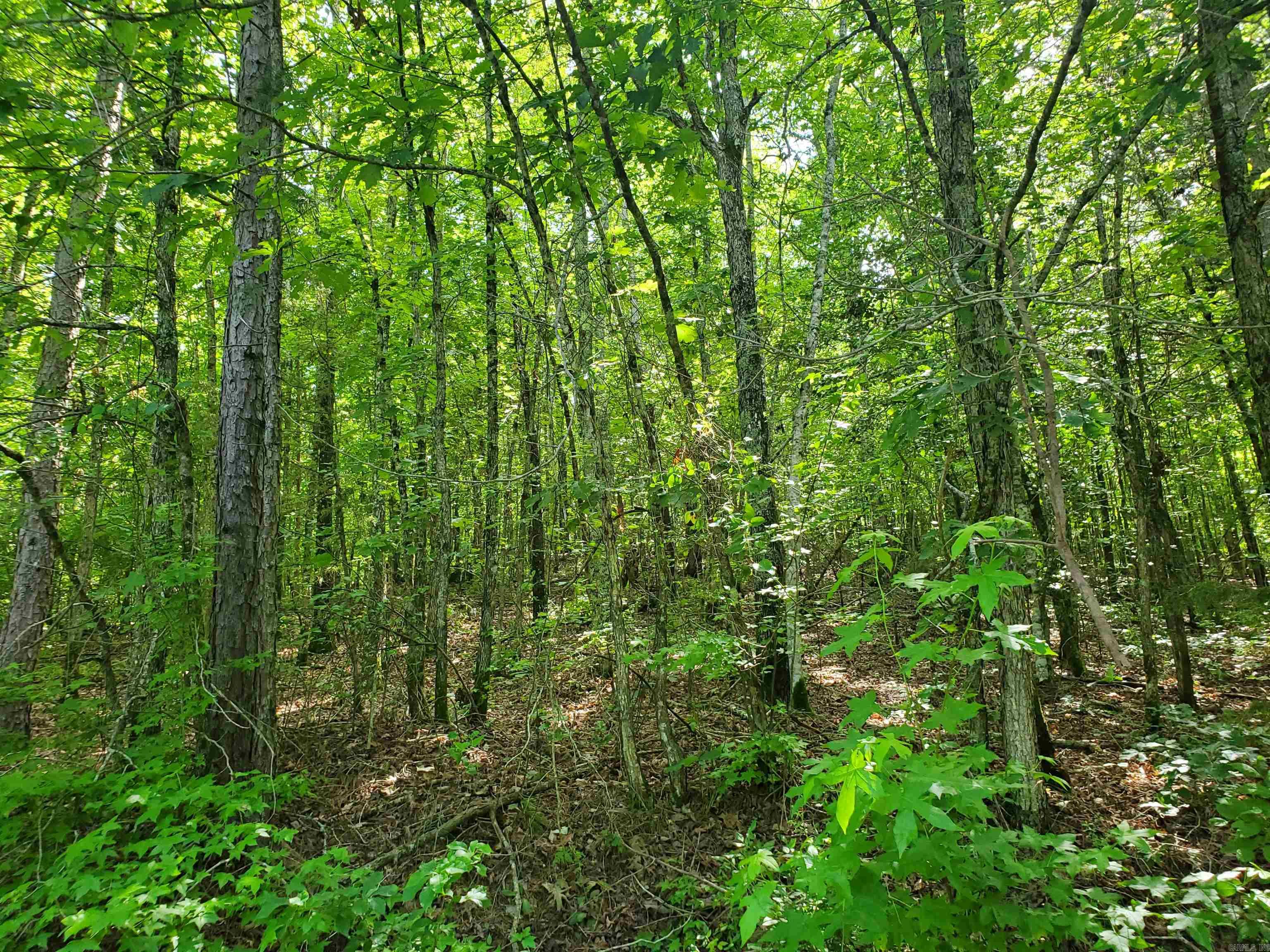 TBD Polk 69  Mena, AR