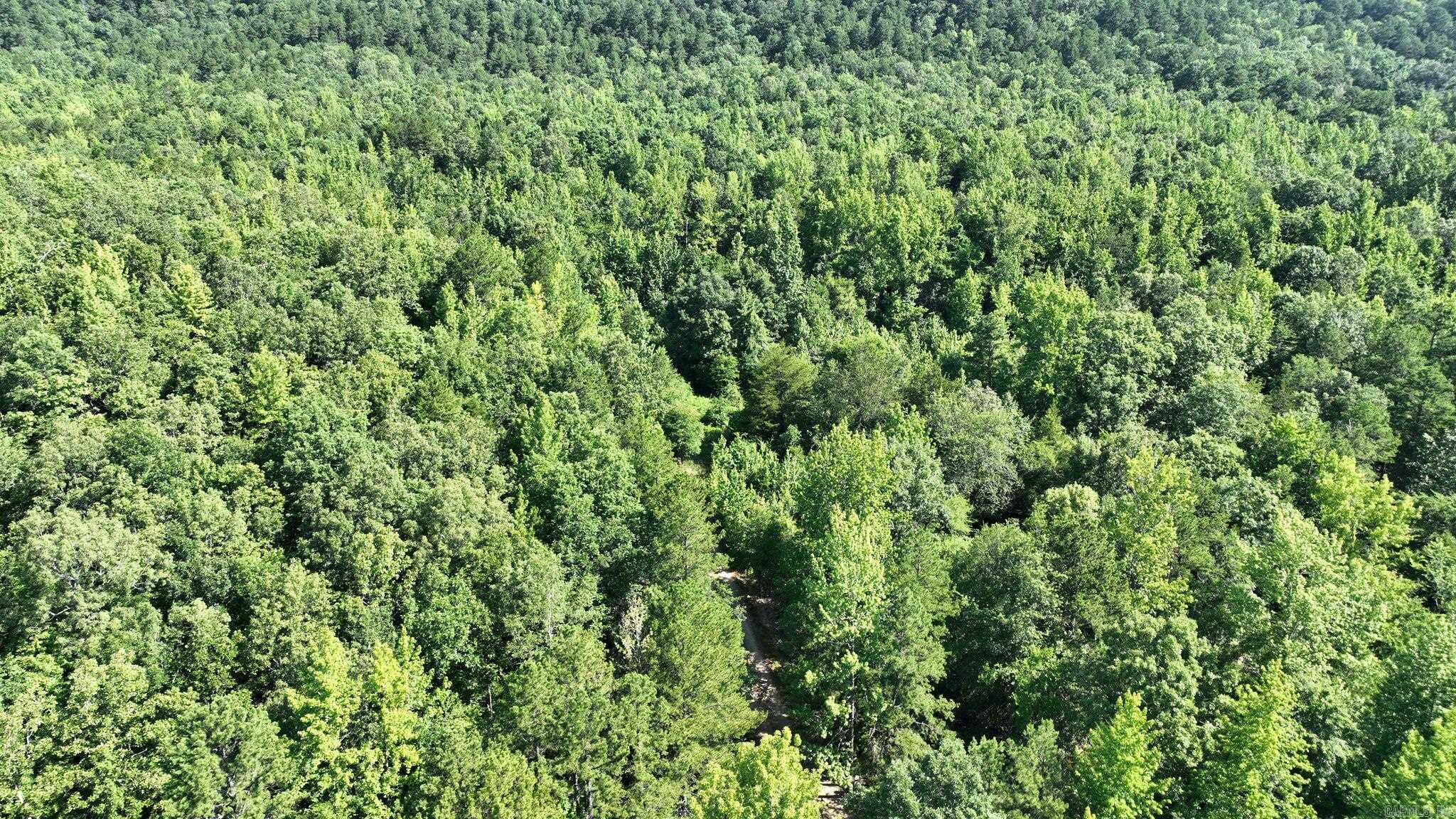TBD Polk 69  Mena, AR