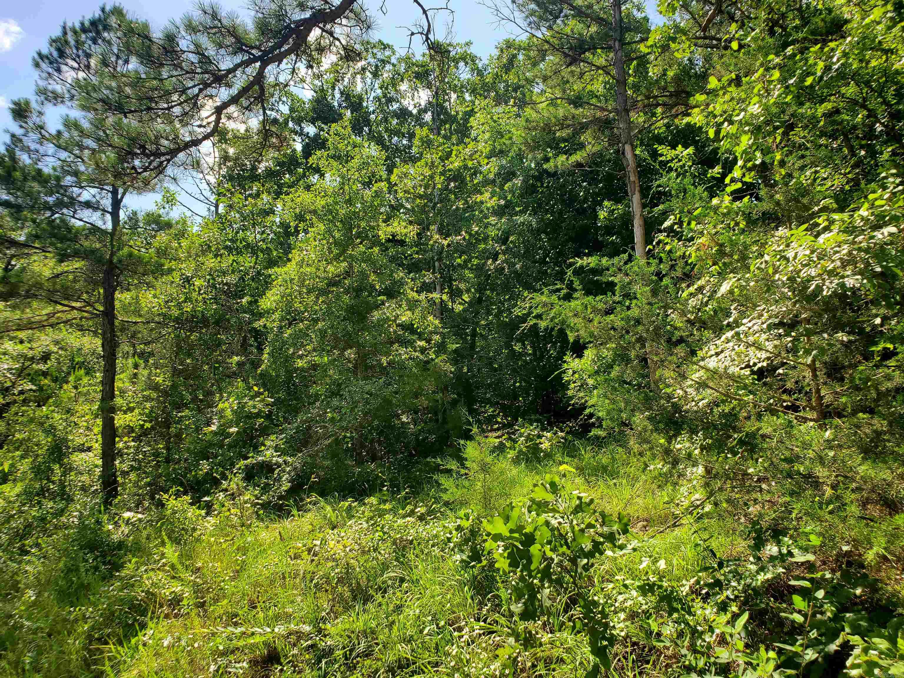 TBD Polk 69  Mena, AR