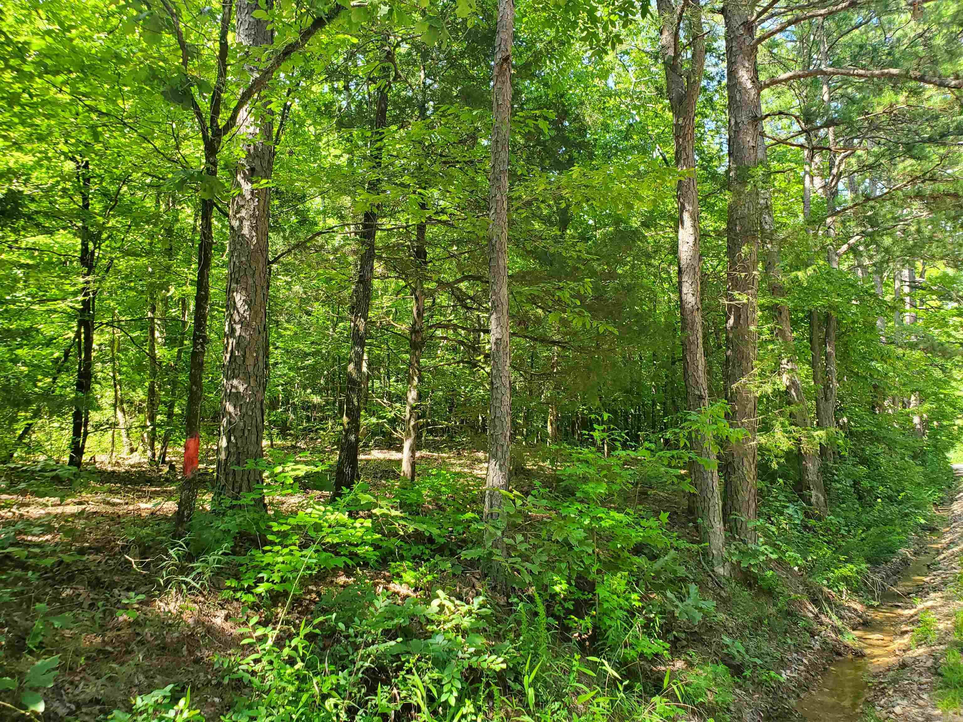 TBD Polk 69  Mena, AR