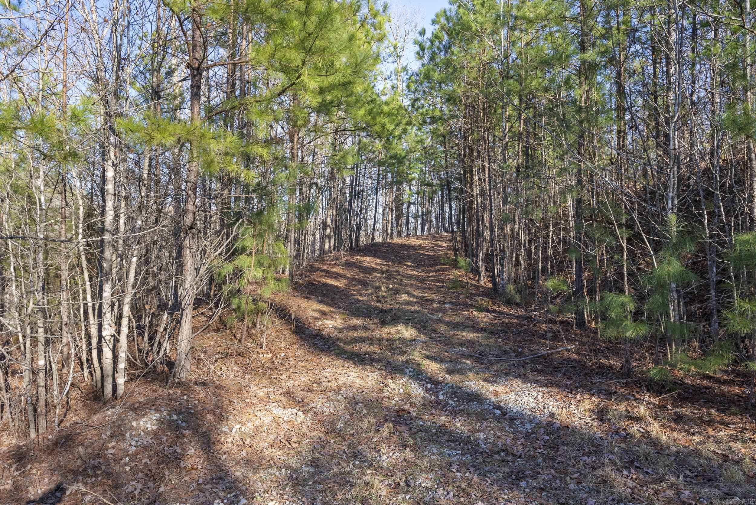 4718 McHenry Creek  Little Rock, AR
