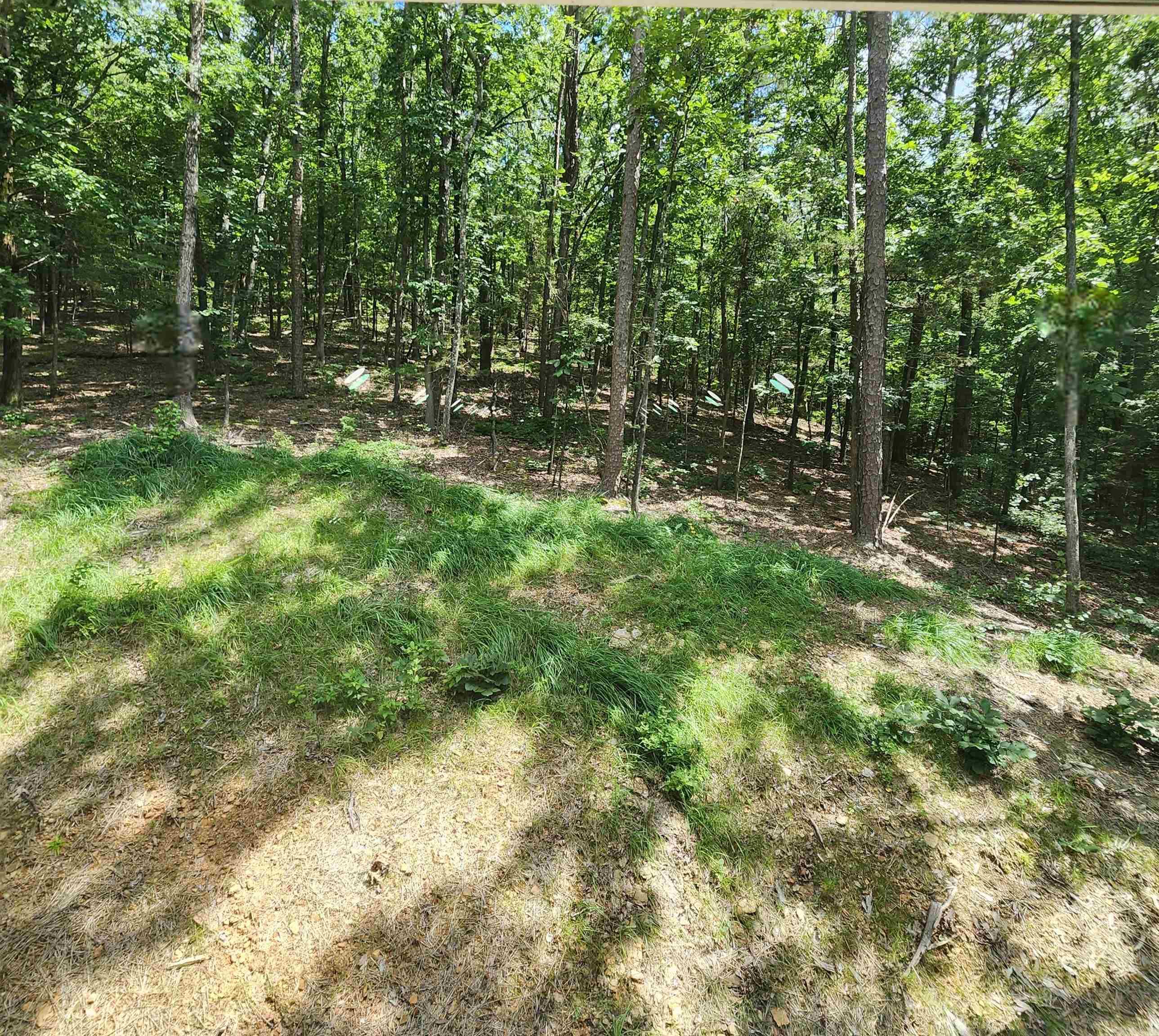 78 Trout  Heber Springs, AR