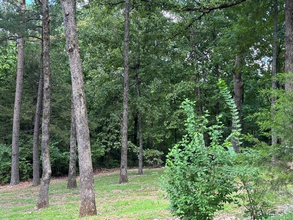 27 N Lakeshore  Cherokee Village, AR