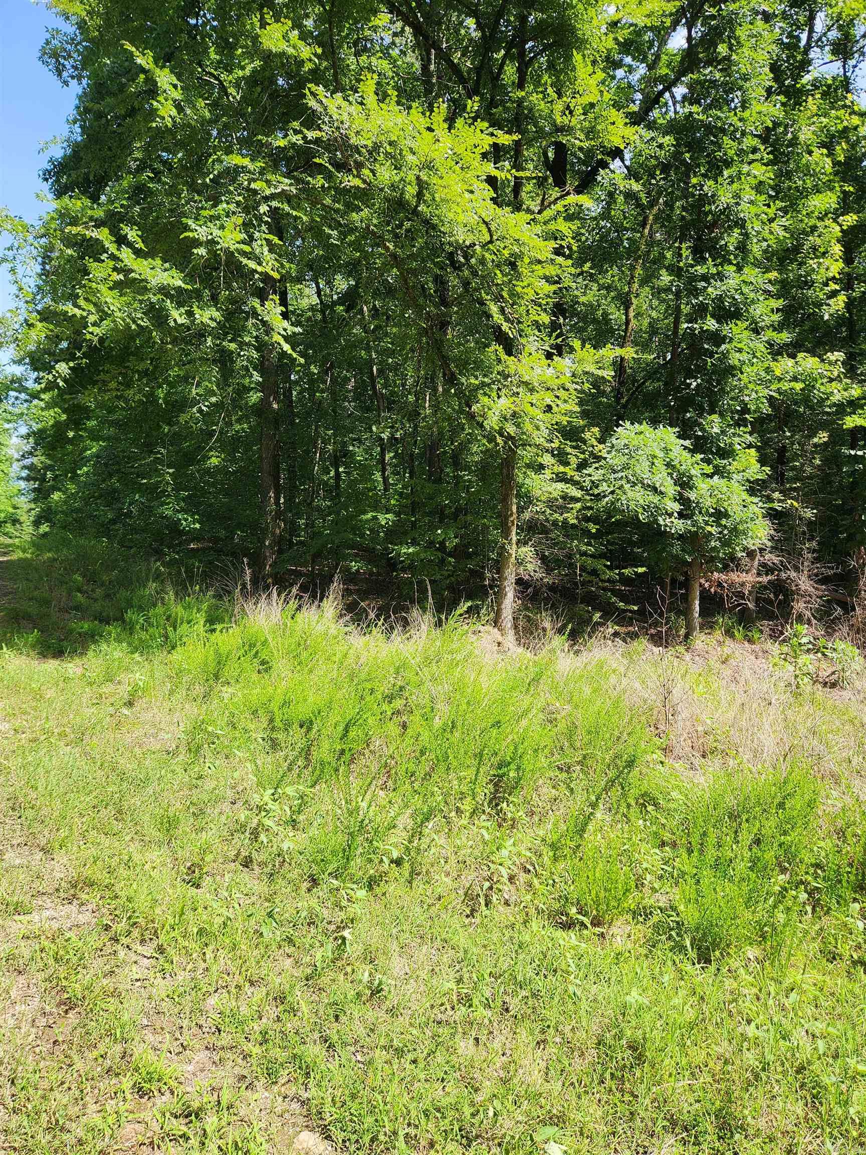 28 edgemont  Hot Springs, AR