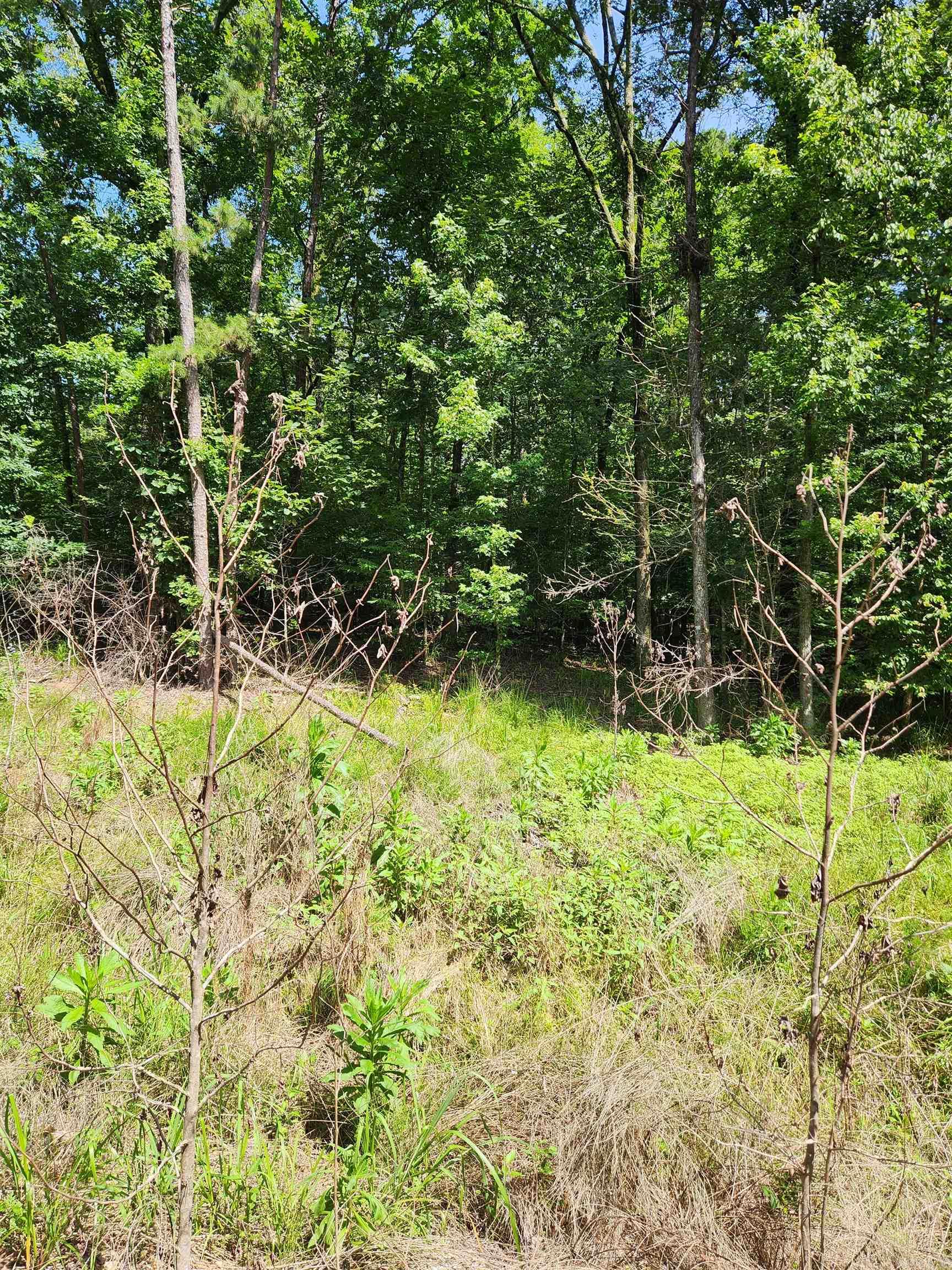 28 edgemont  Hot Springs, AR