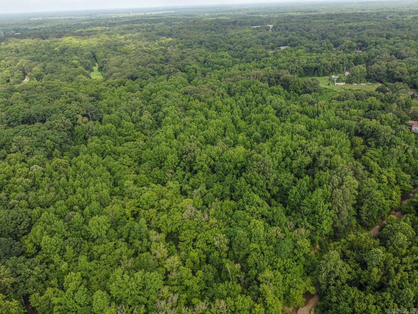 30+\- Acres SFC 328  Forrest City, AR