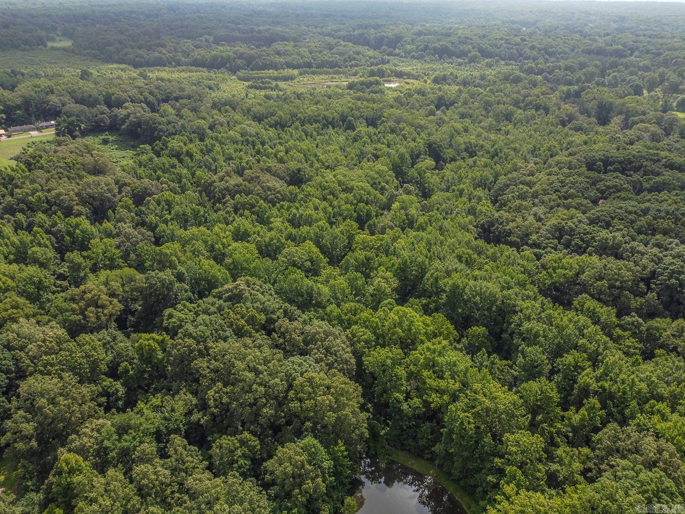 30+\- Acres SFC 328  Forrest City, AR
