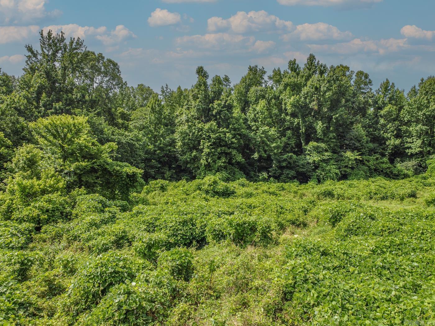 30+\- Acres SFC 328  Forrest City, AR