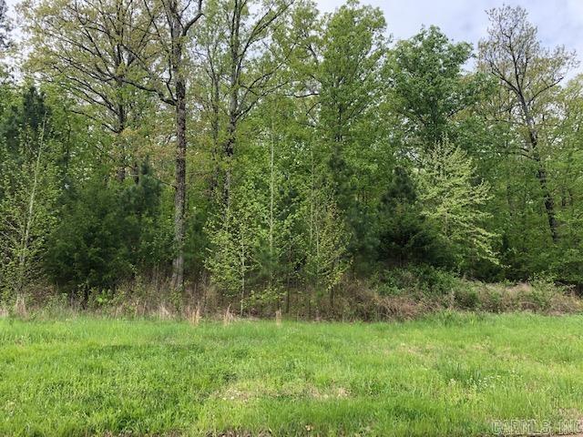  Mountain Ridge Rd.  Batesville, AR