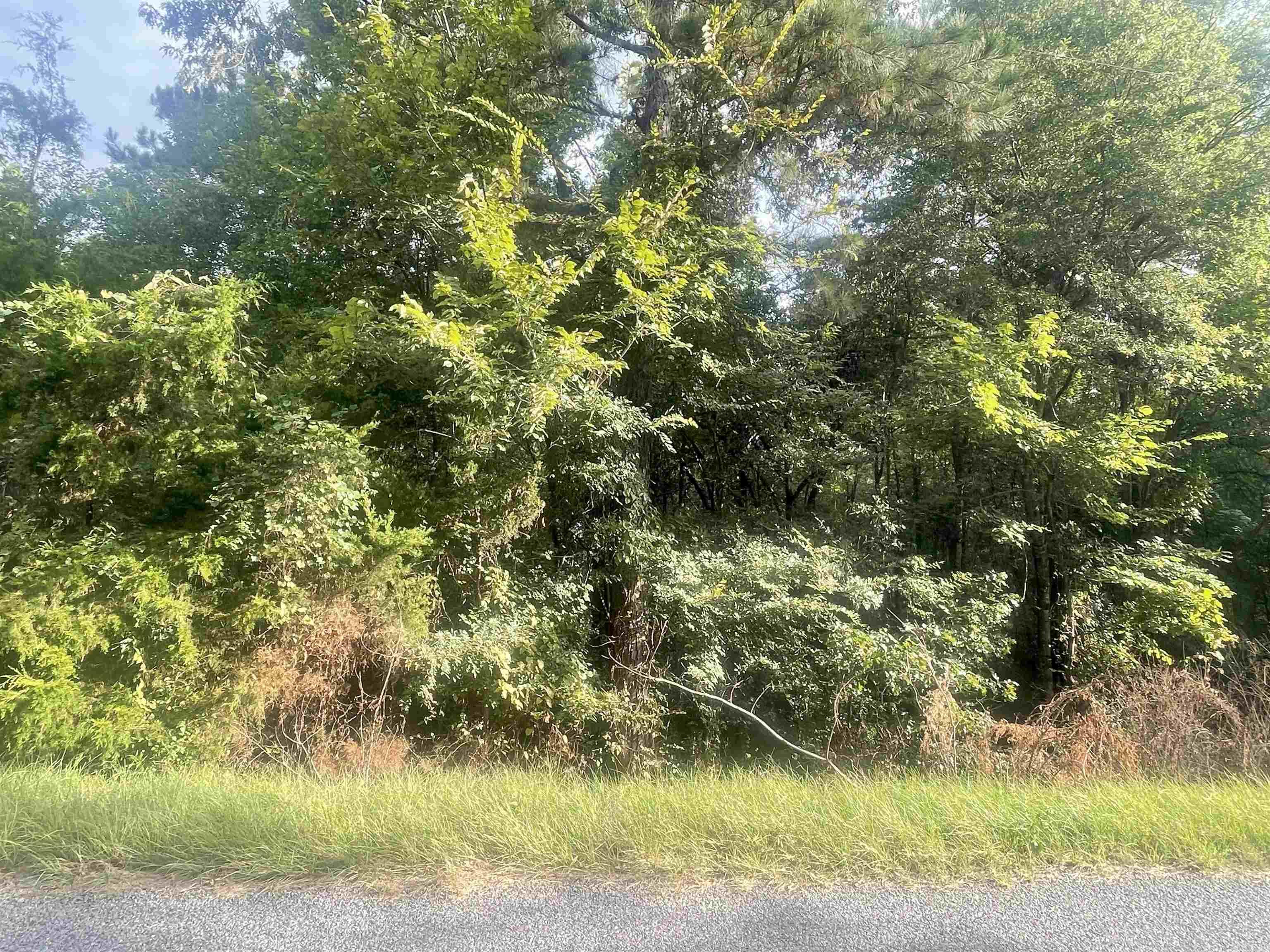 TBD Old Post  Texarkana, AR