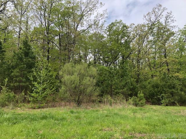  Mountain Ridge Rd.  Batesville, AR