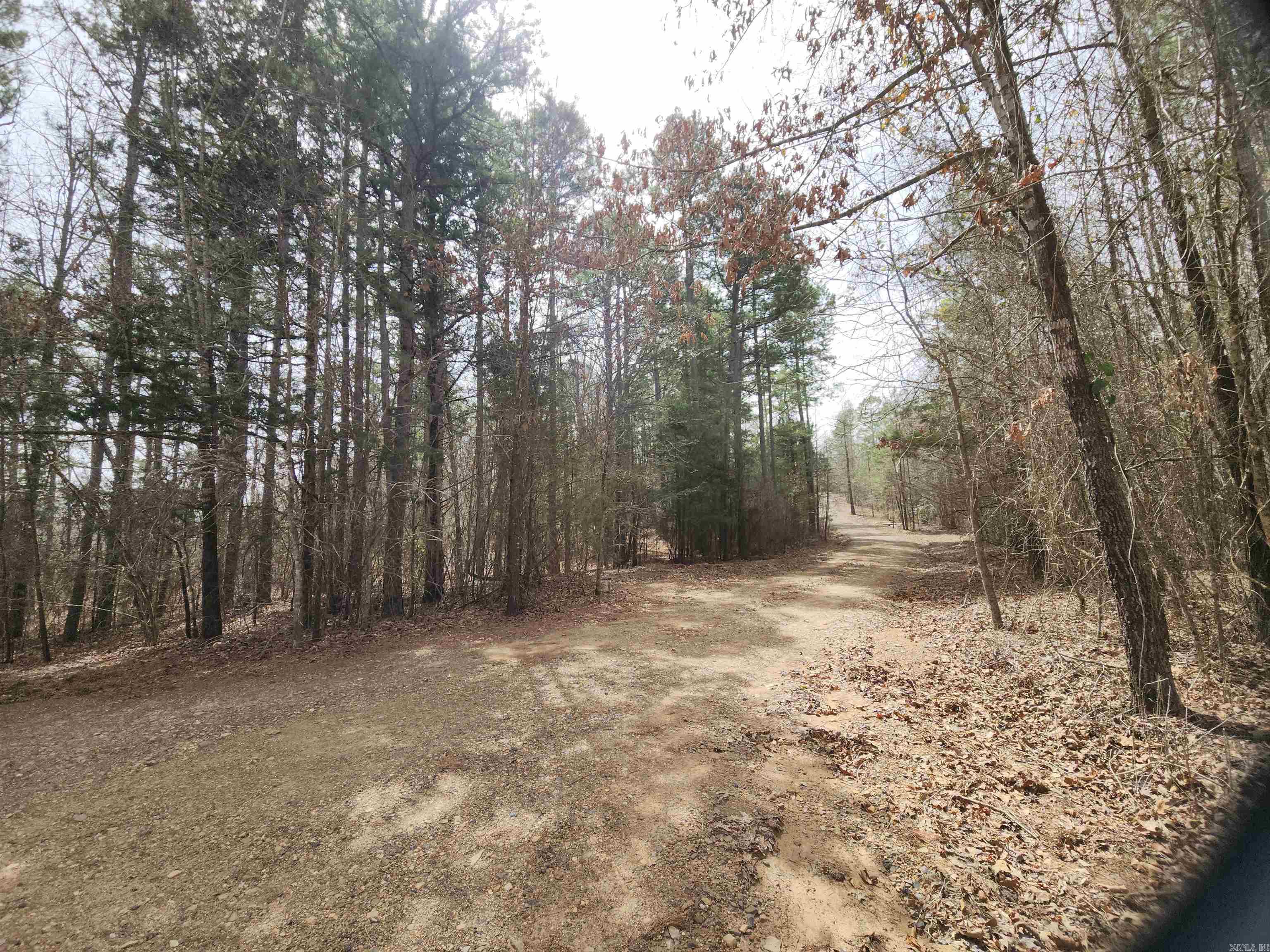 300 Polk Road 153  Hatfield, AR