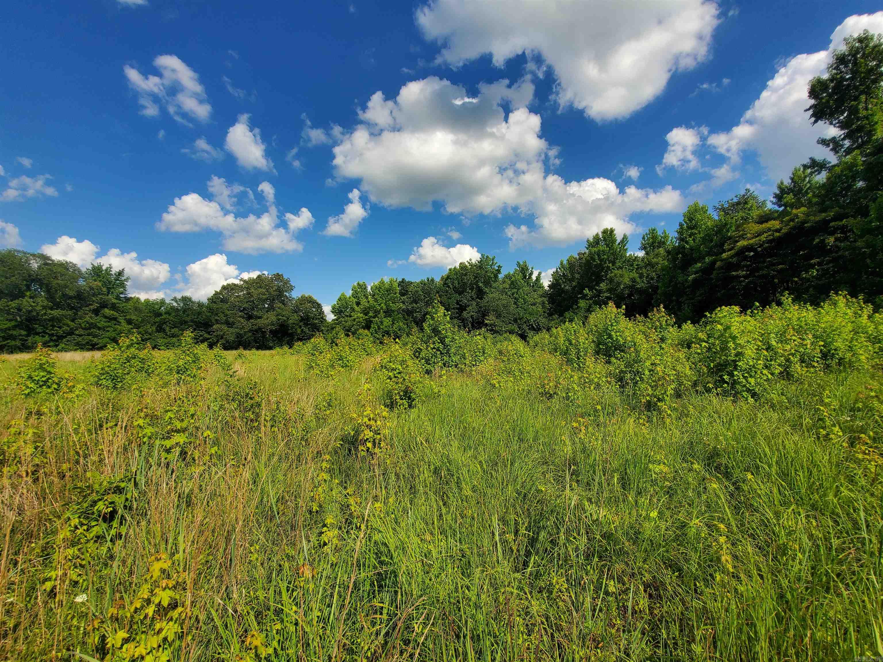 1306 CR 461  Piggott, AR