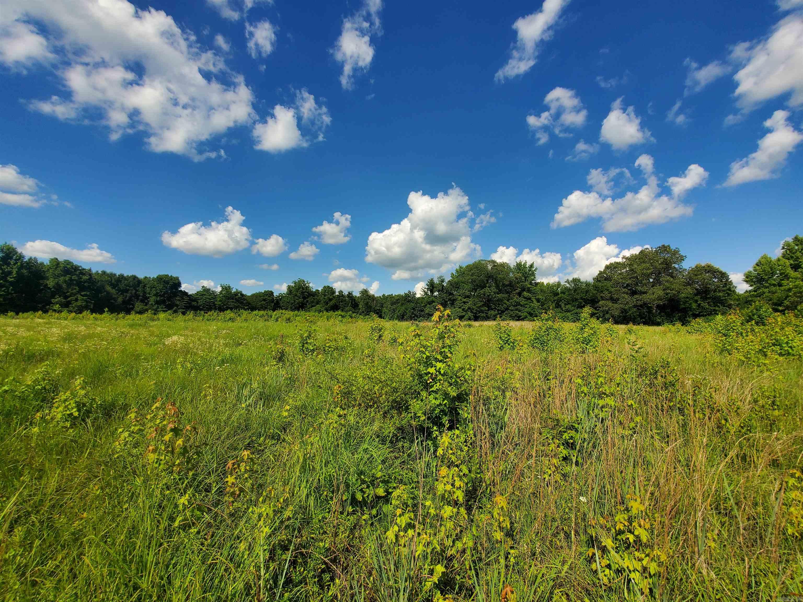 1306 CR 461  Piggott, AR