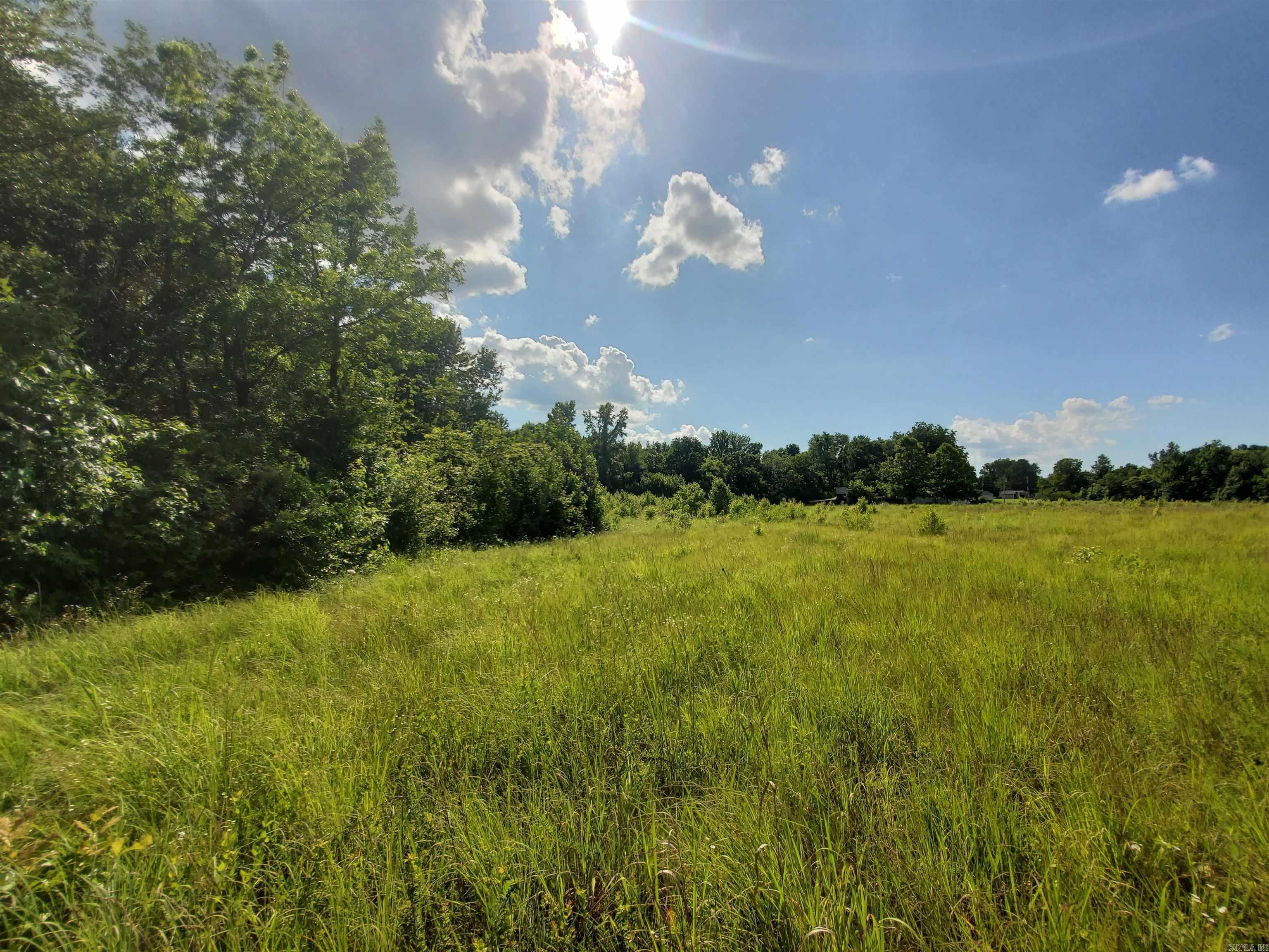 1306 CR 461  Piggott, AR