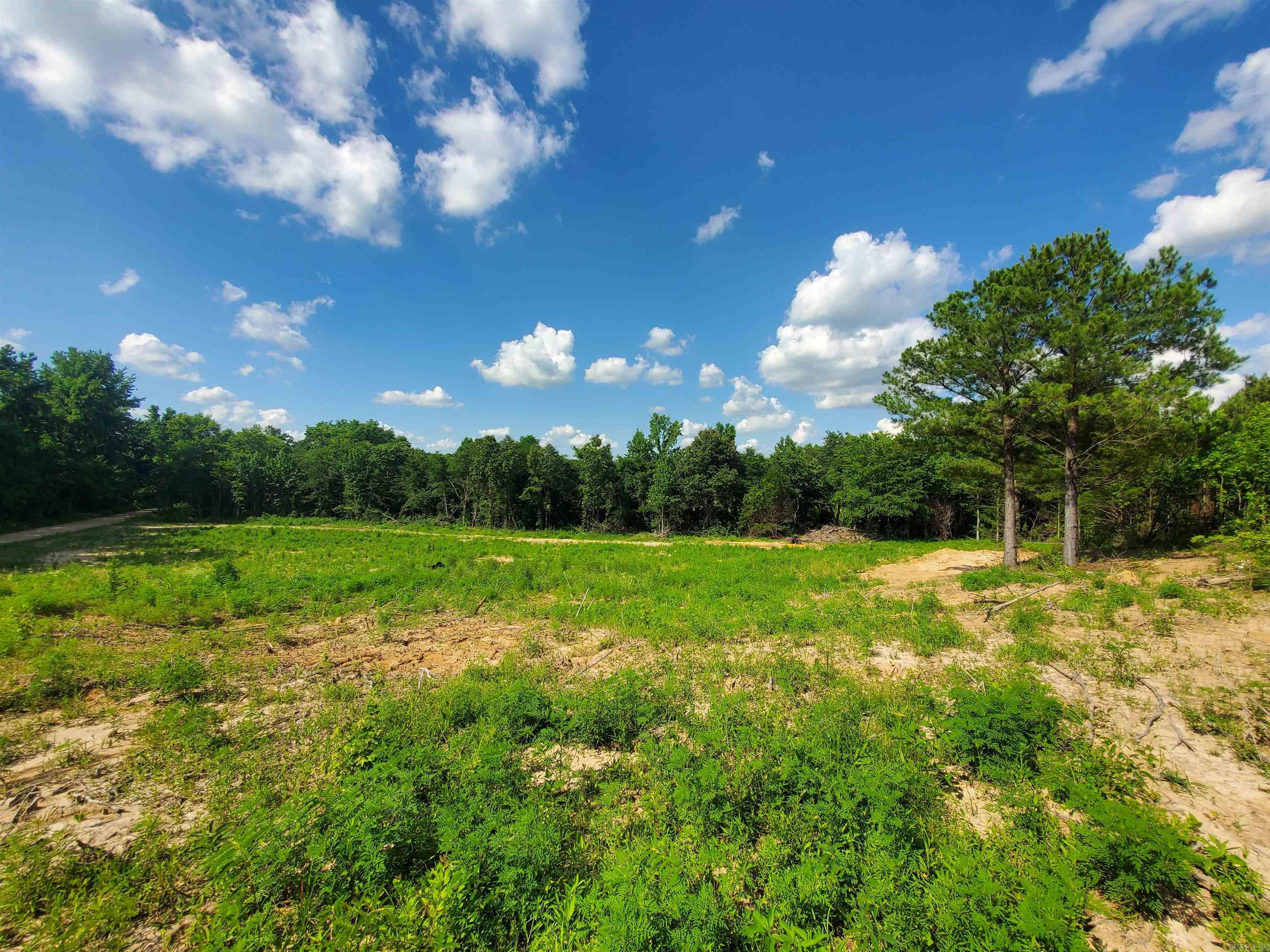 1306 CR 461  Piggott, AR
