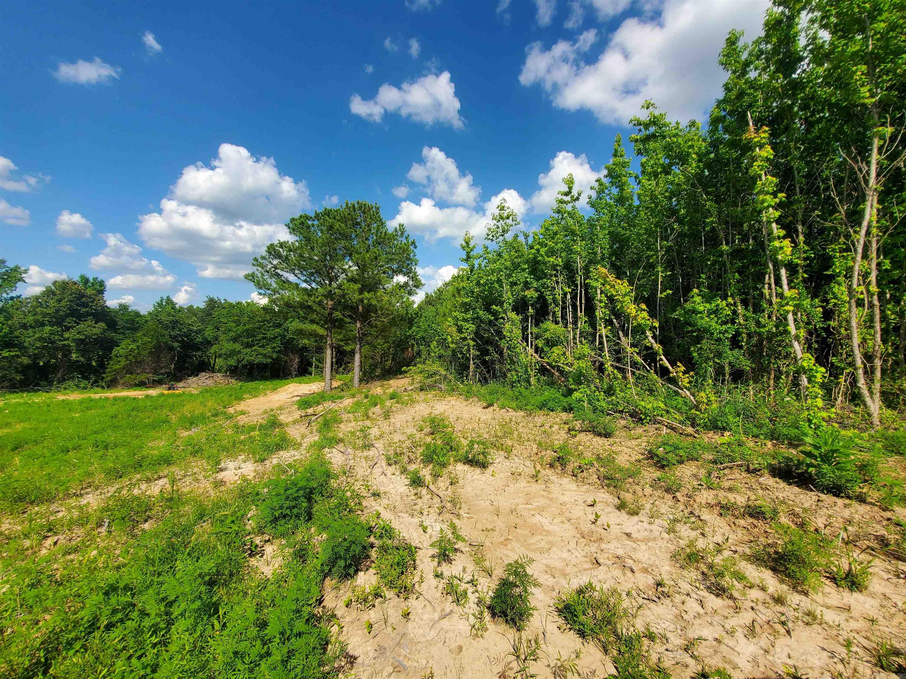 1306 CR 461  Piggott, AR